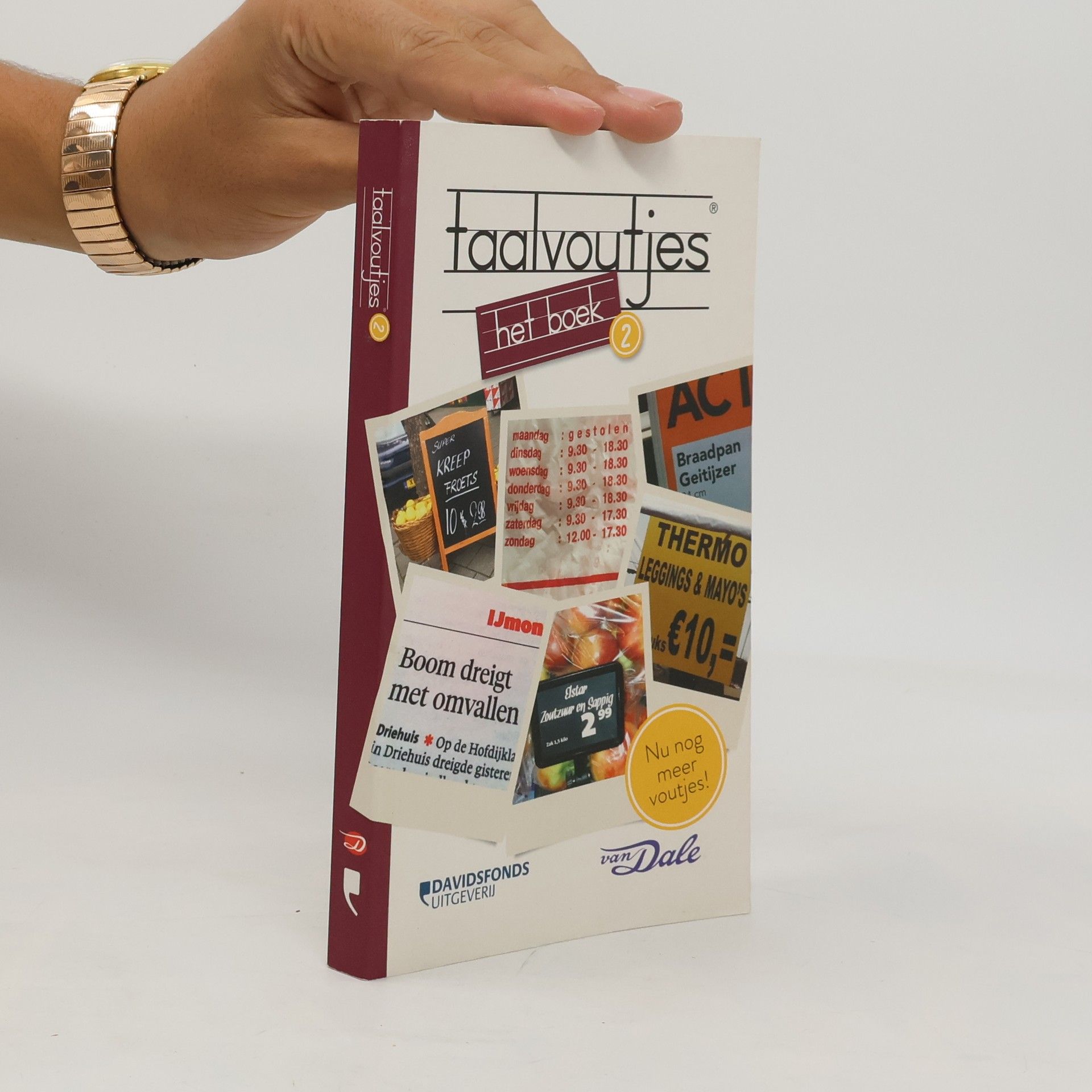 Inger Hollebeek Taalvoutjes, het boek 2