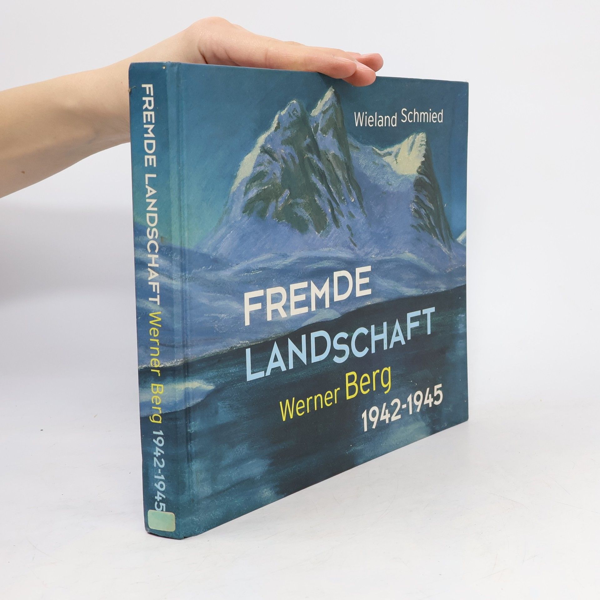 Wieland Schmied Fremde Landschaft