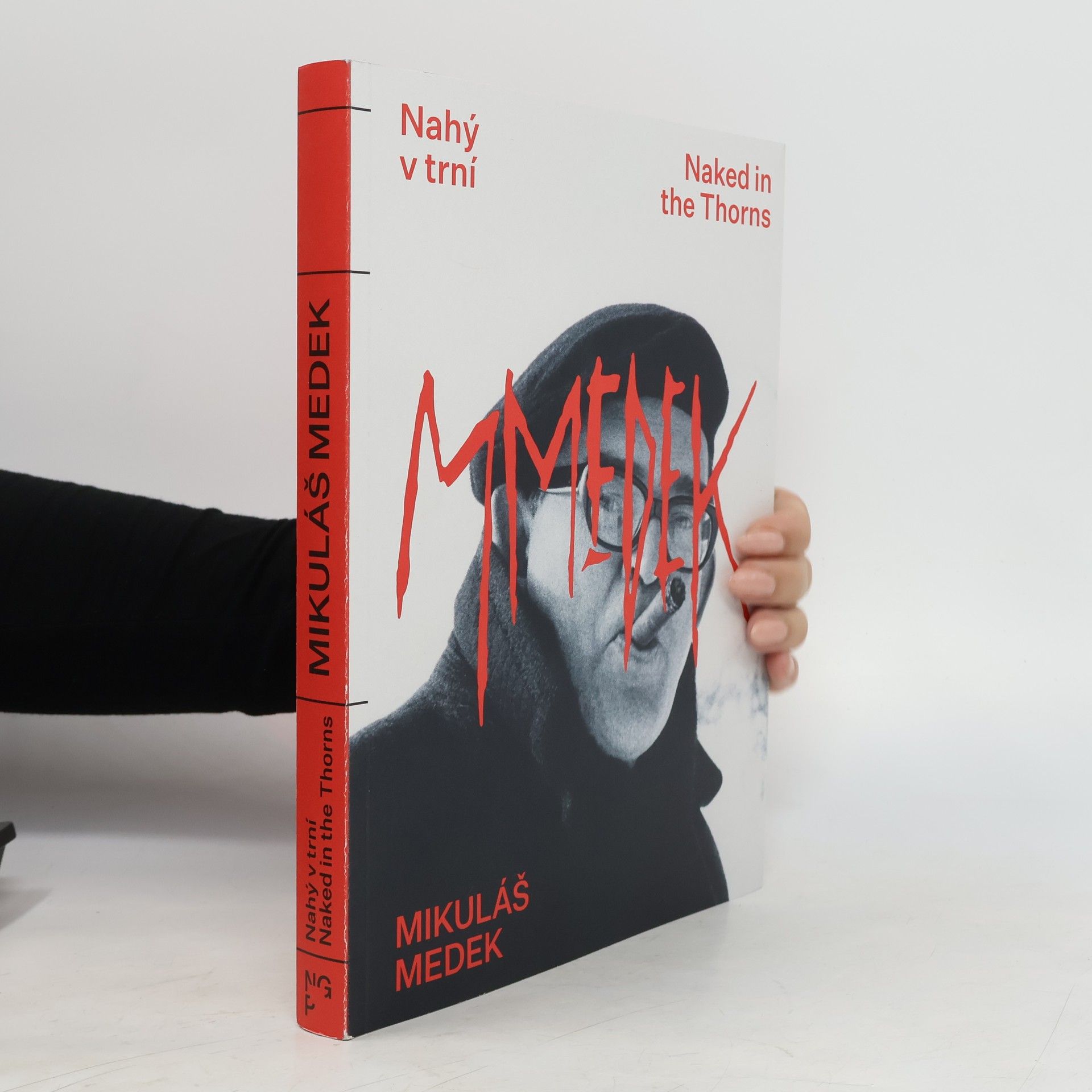 Kolektiv autorů Mikuláš Medek: Nahý v trní