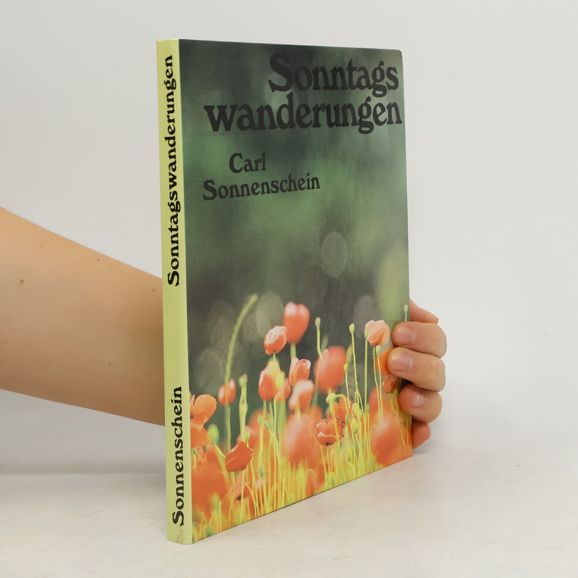 Carl Sonnenschein Sonntagswanderungen