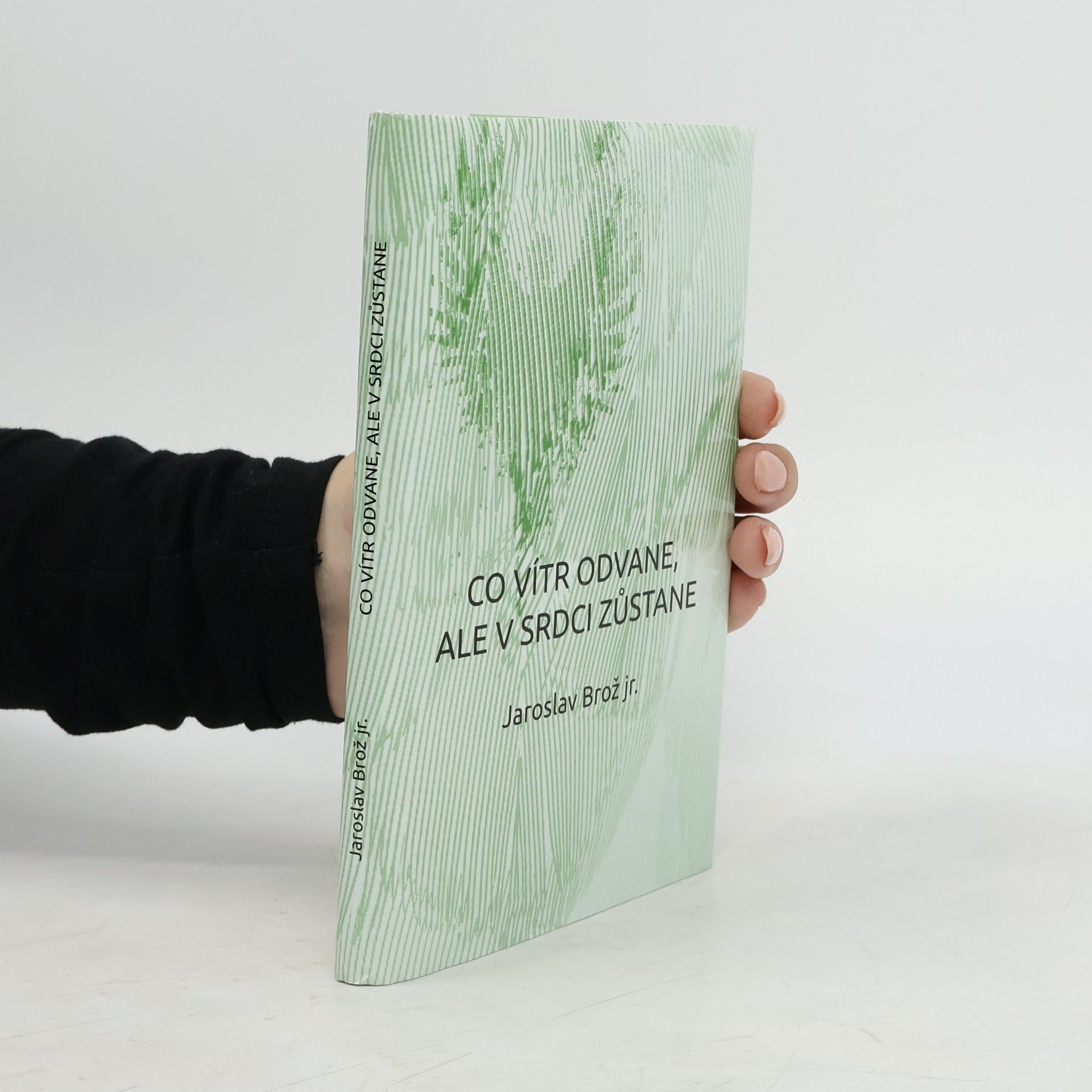 Jaroslav Brož Co vítr odvane, ale v srdci zůstane