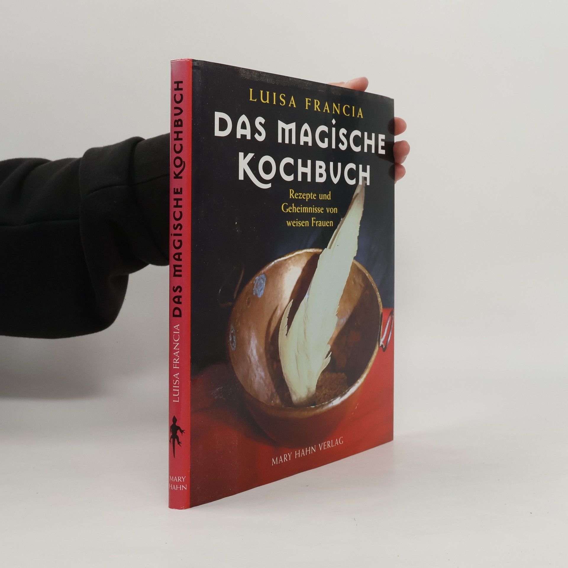 Luisa Francia Das magische Kochbuch