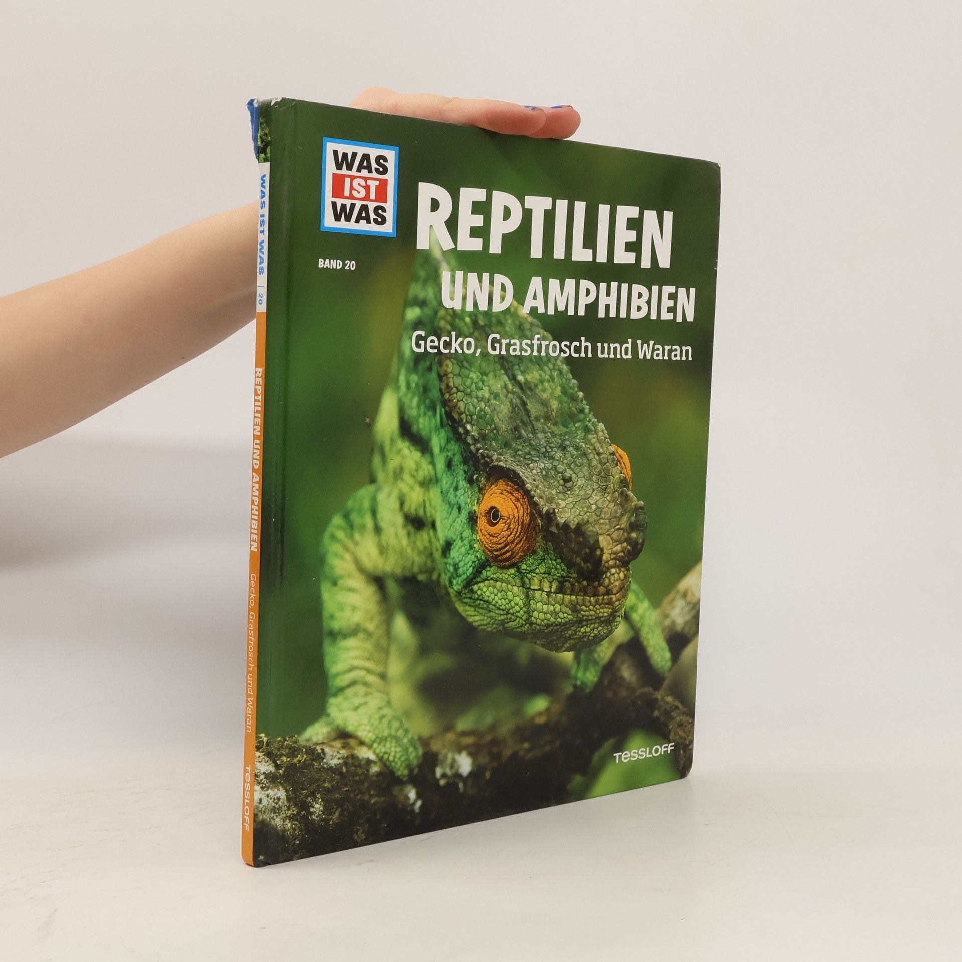 Autorenkollektiv Reptilien und Amphibien. Gecko, Grasfrosch und Waran