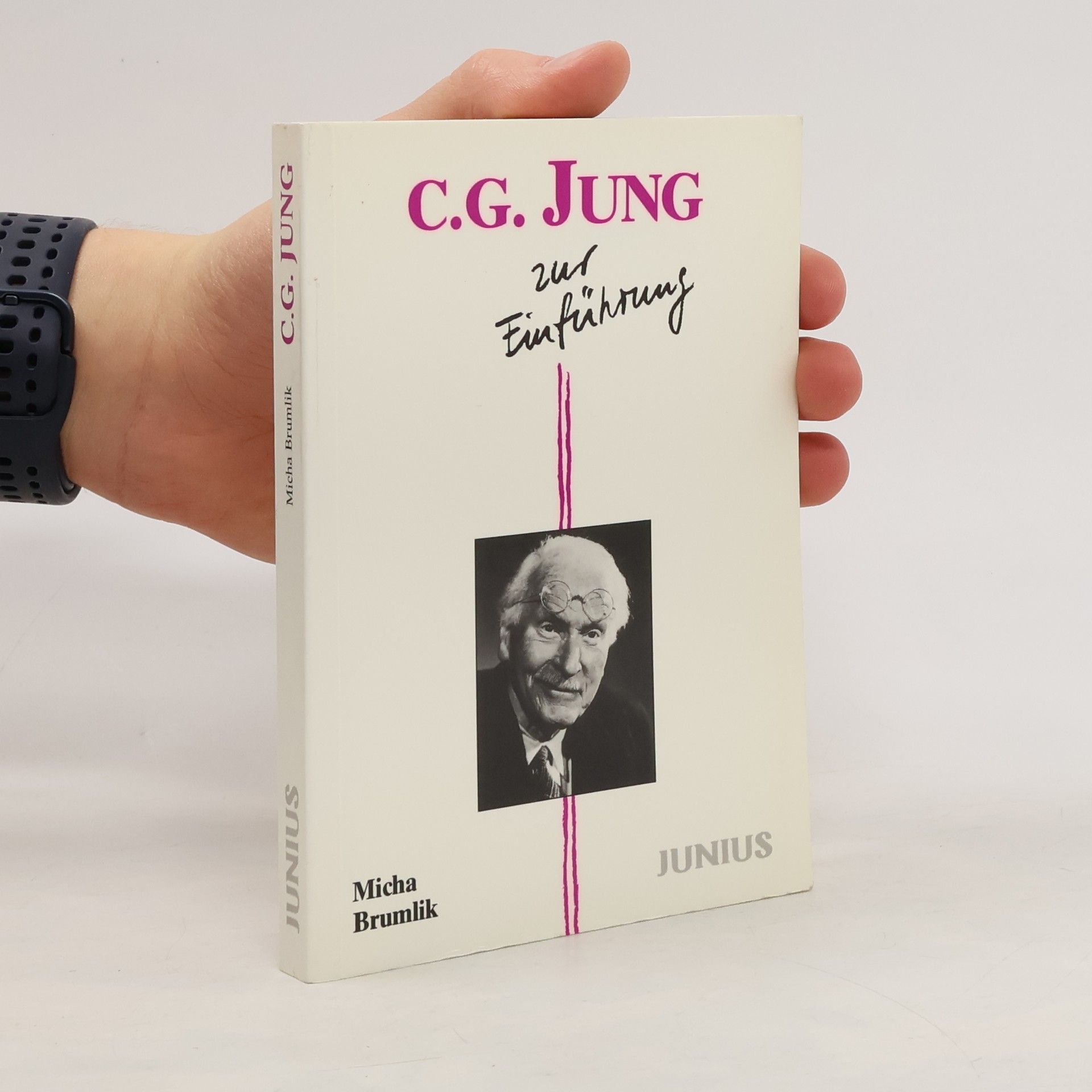 Micha Brumlik C. G. Jung zur Einführung