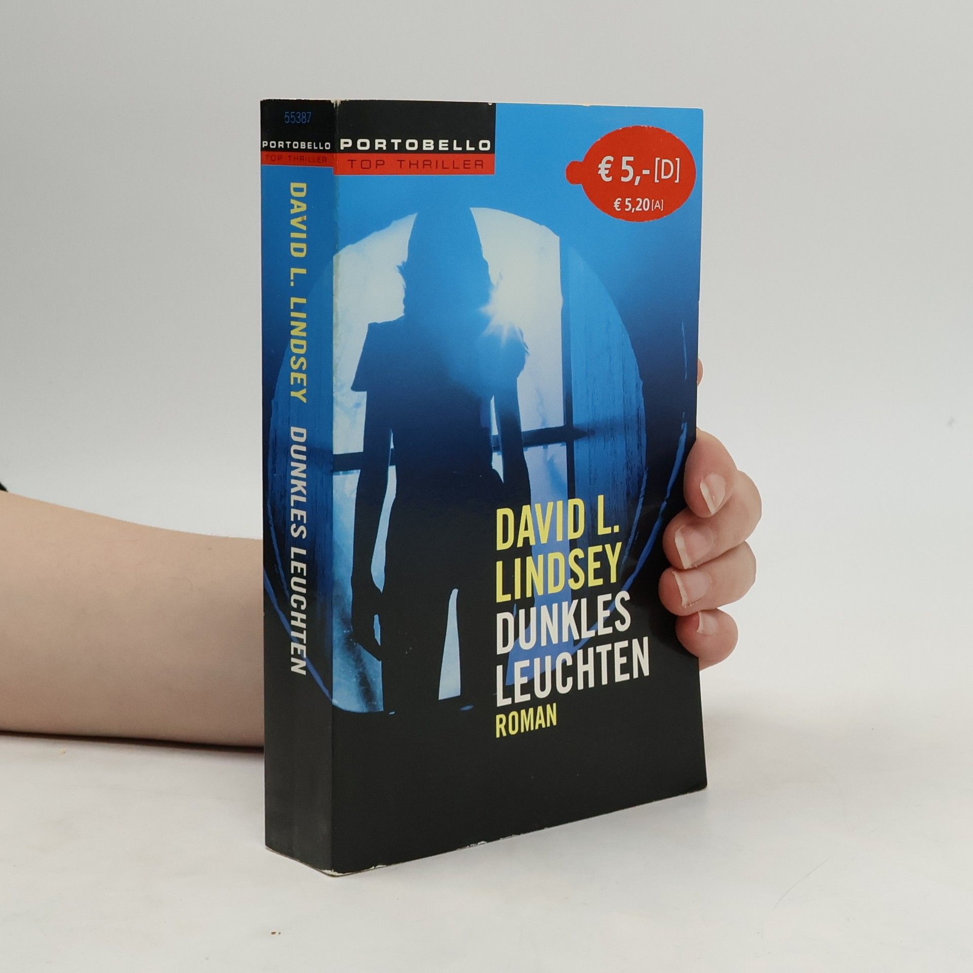 Dunkles Leuchten. Roman