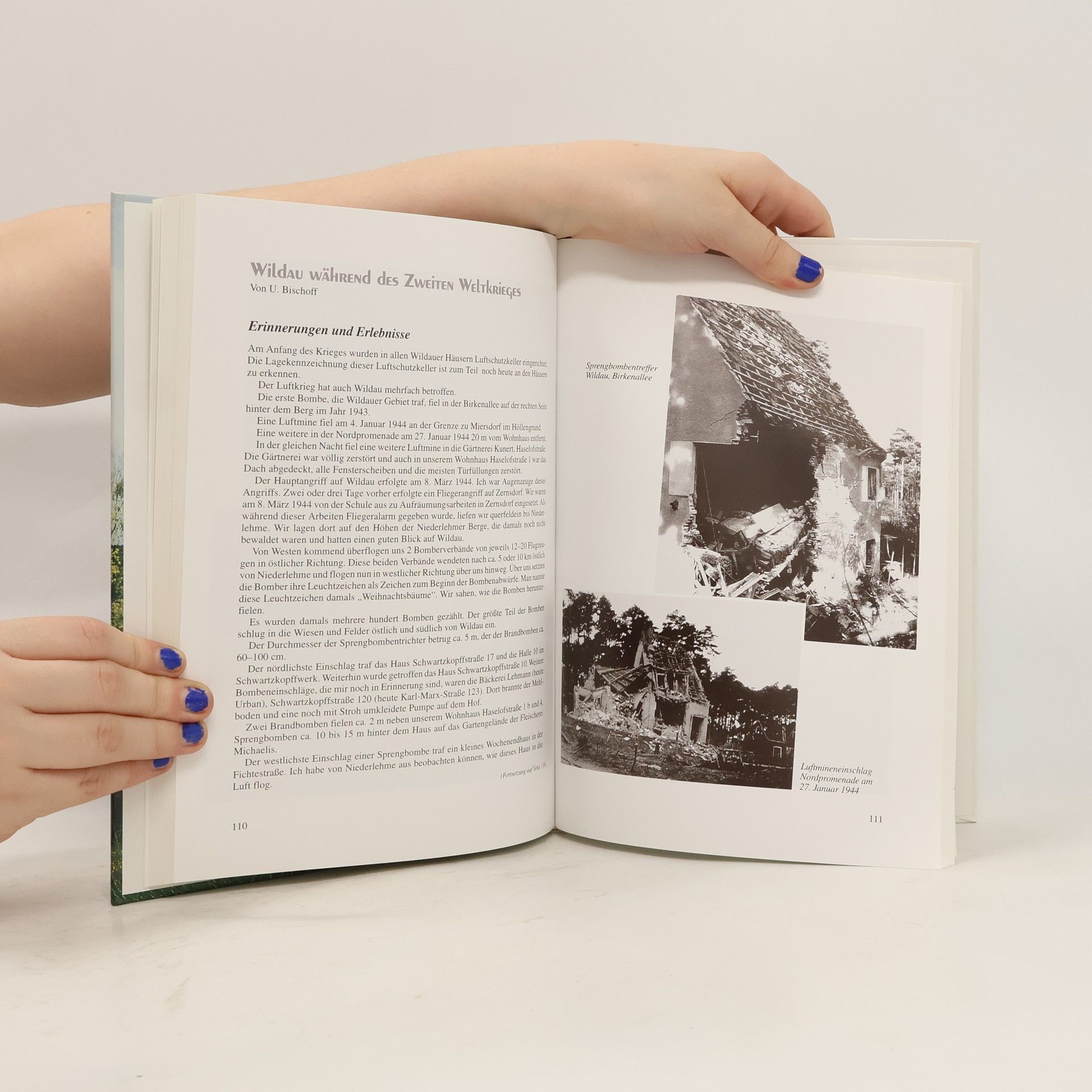Chronistengruppe Wildau Wildauer Heimatbuch