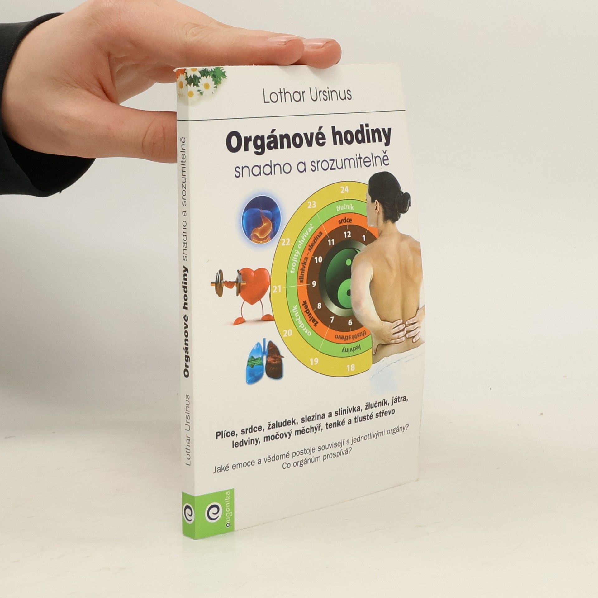 Orgánové hodiny: Snadno a srozumitelně