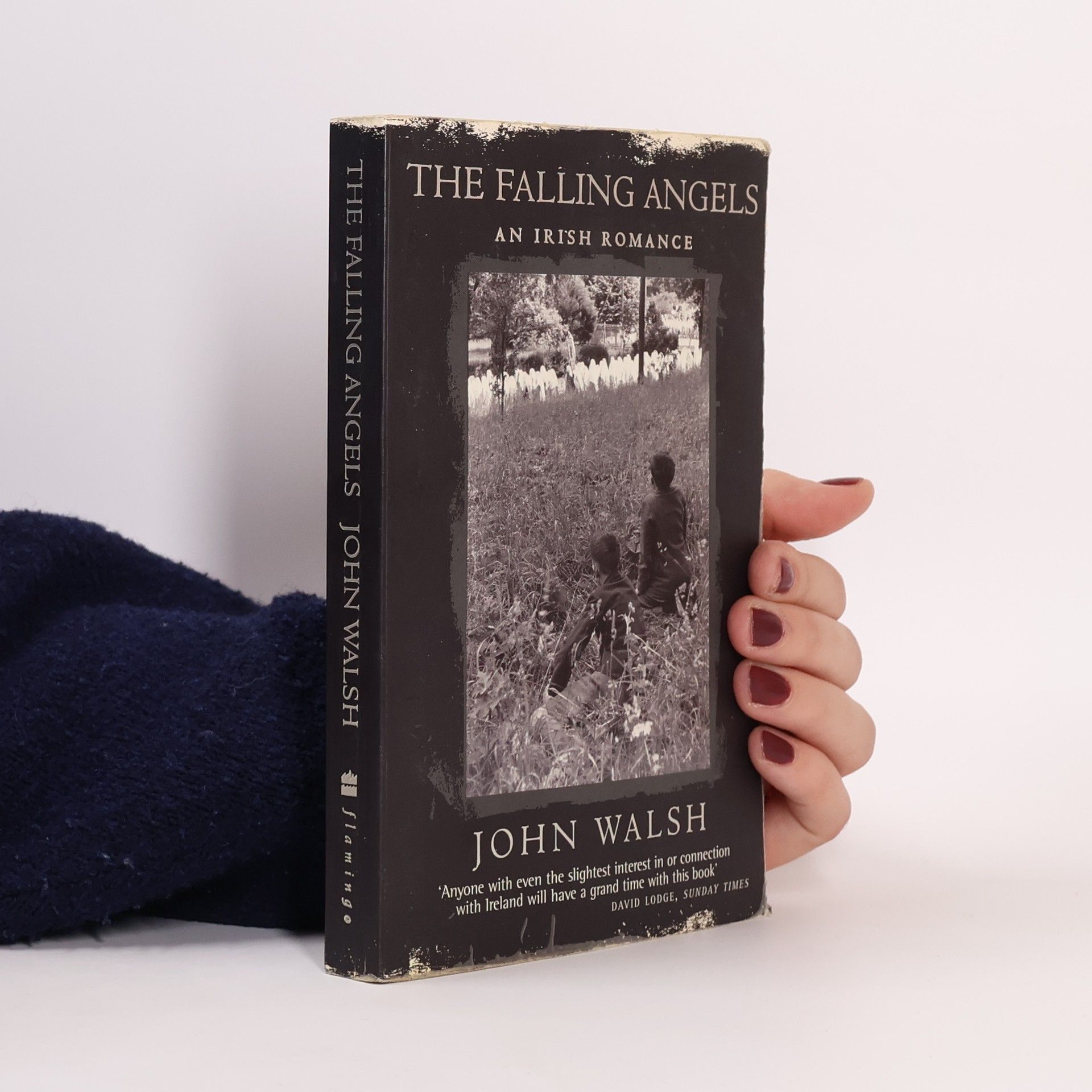 John Walsh The Falling Angels