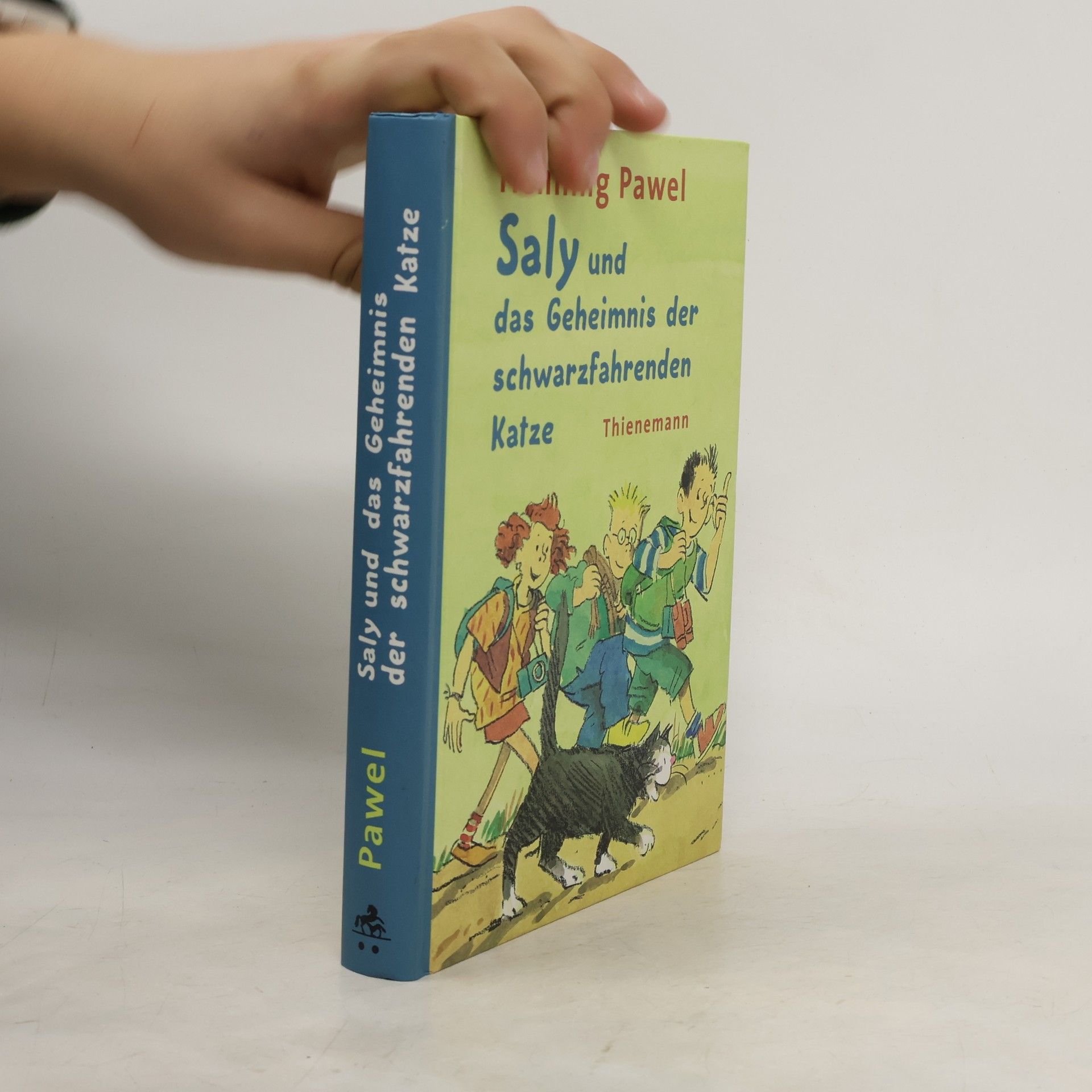 Saly und das Geheimnis der schwarzfahrenden Katze