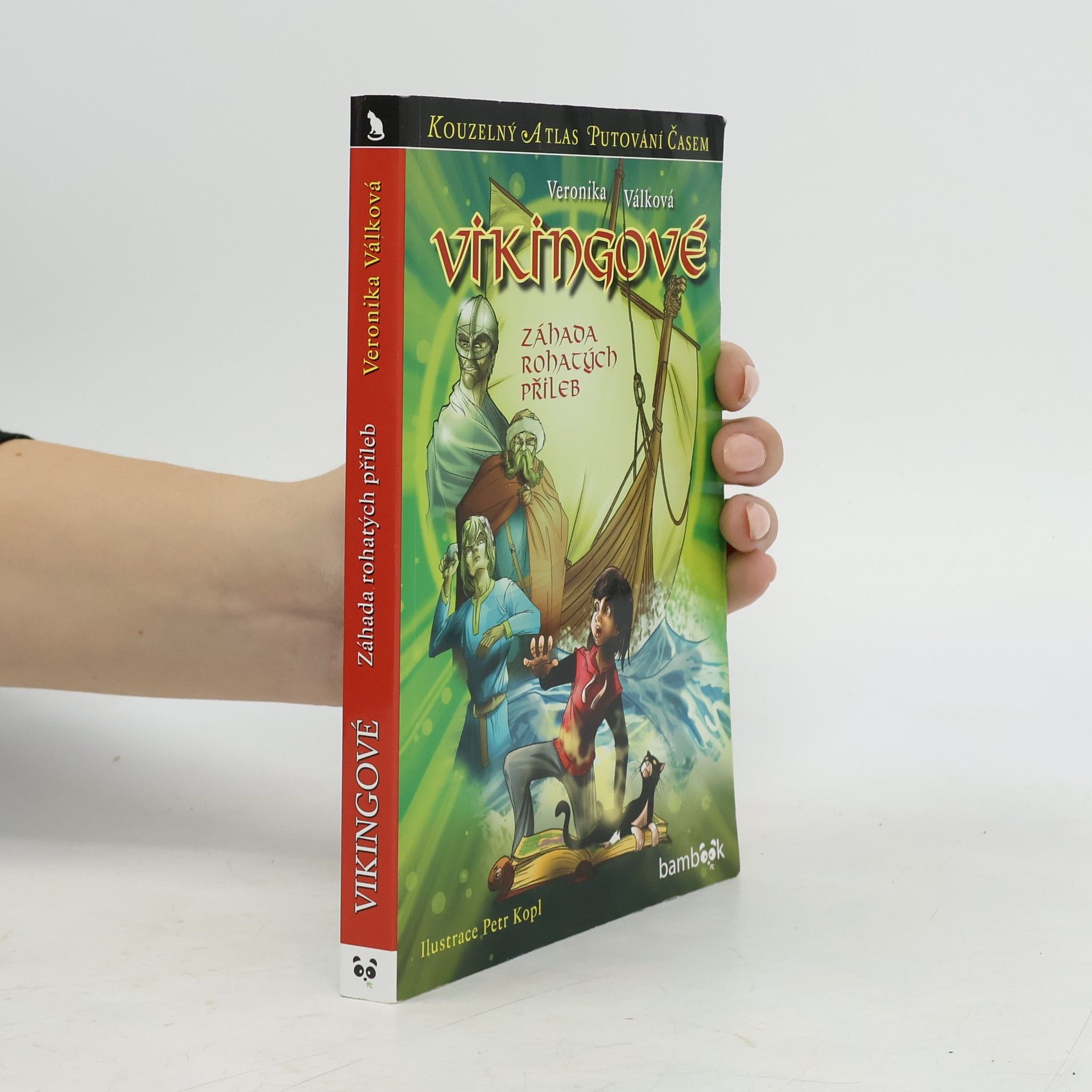 Vikingové : záhada rohatých přileb