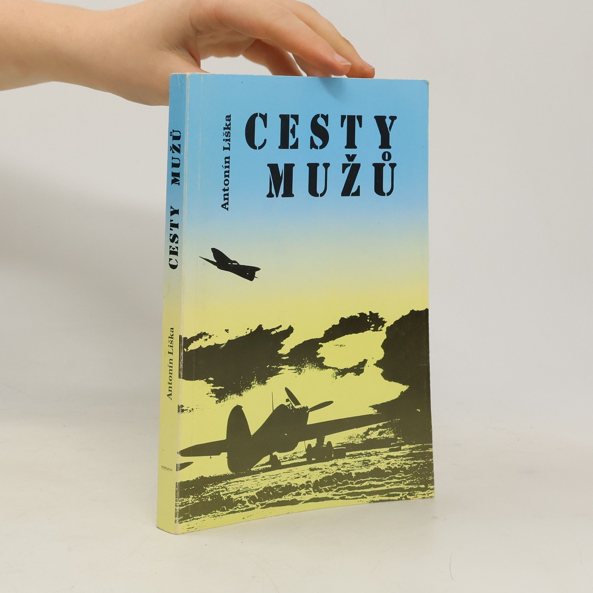 Antonín Liška Cesty mužů