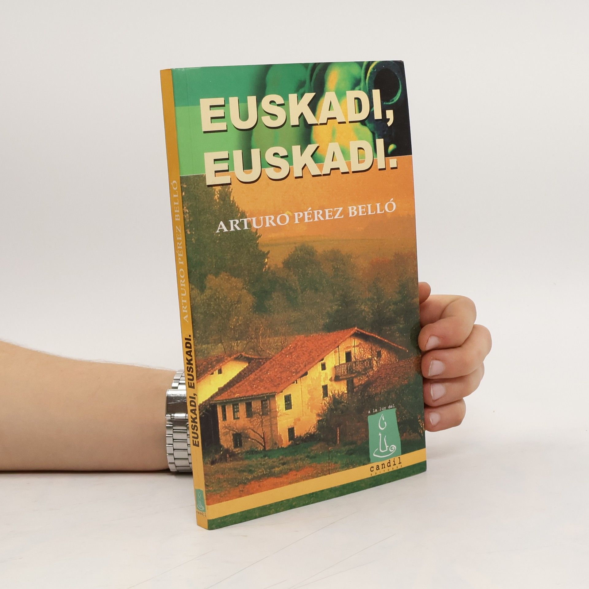 Arturo Pérez Belló Euskadi, Euskadi