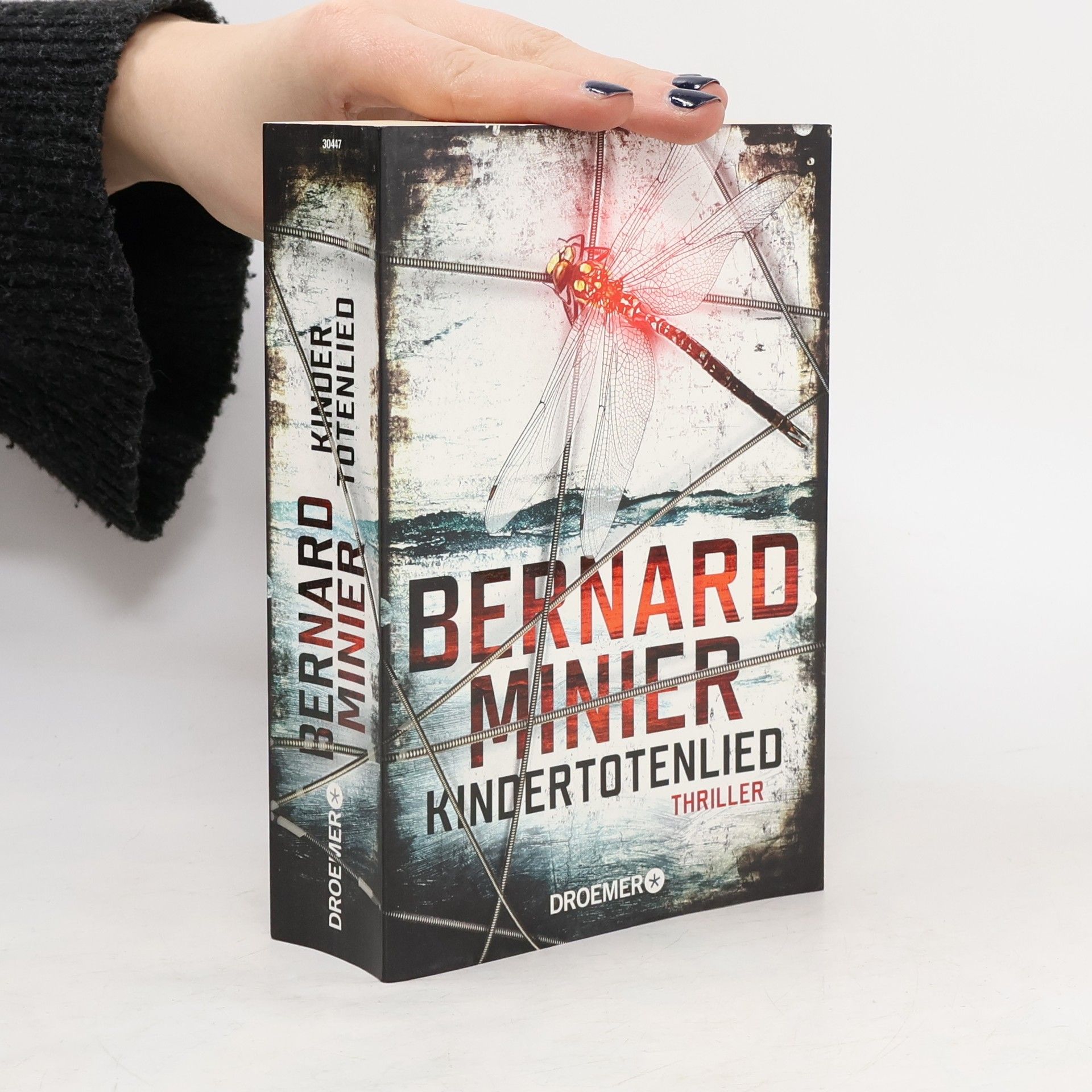Bernard Minier Kindertotenlied