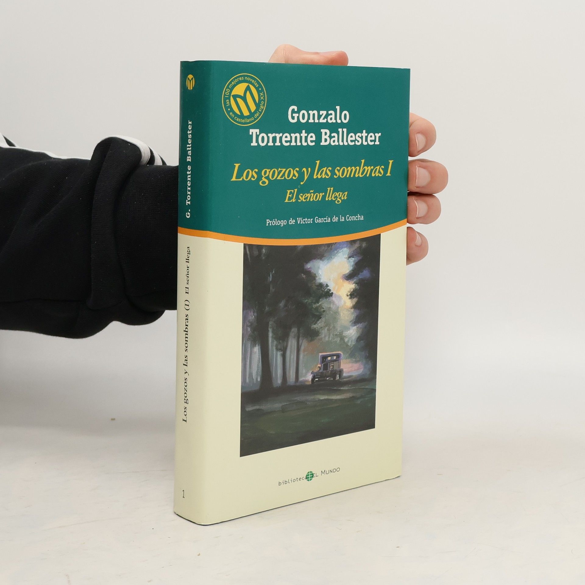 Los gozos y las sombras 1