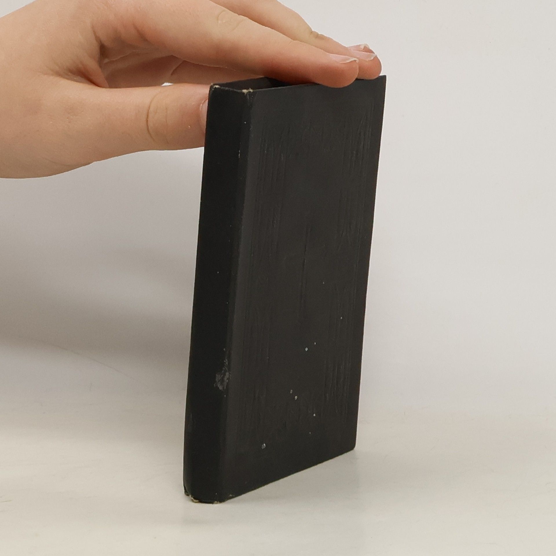 František Libor Cesta k nebesům