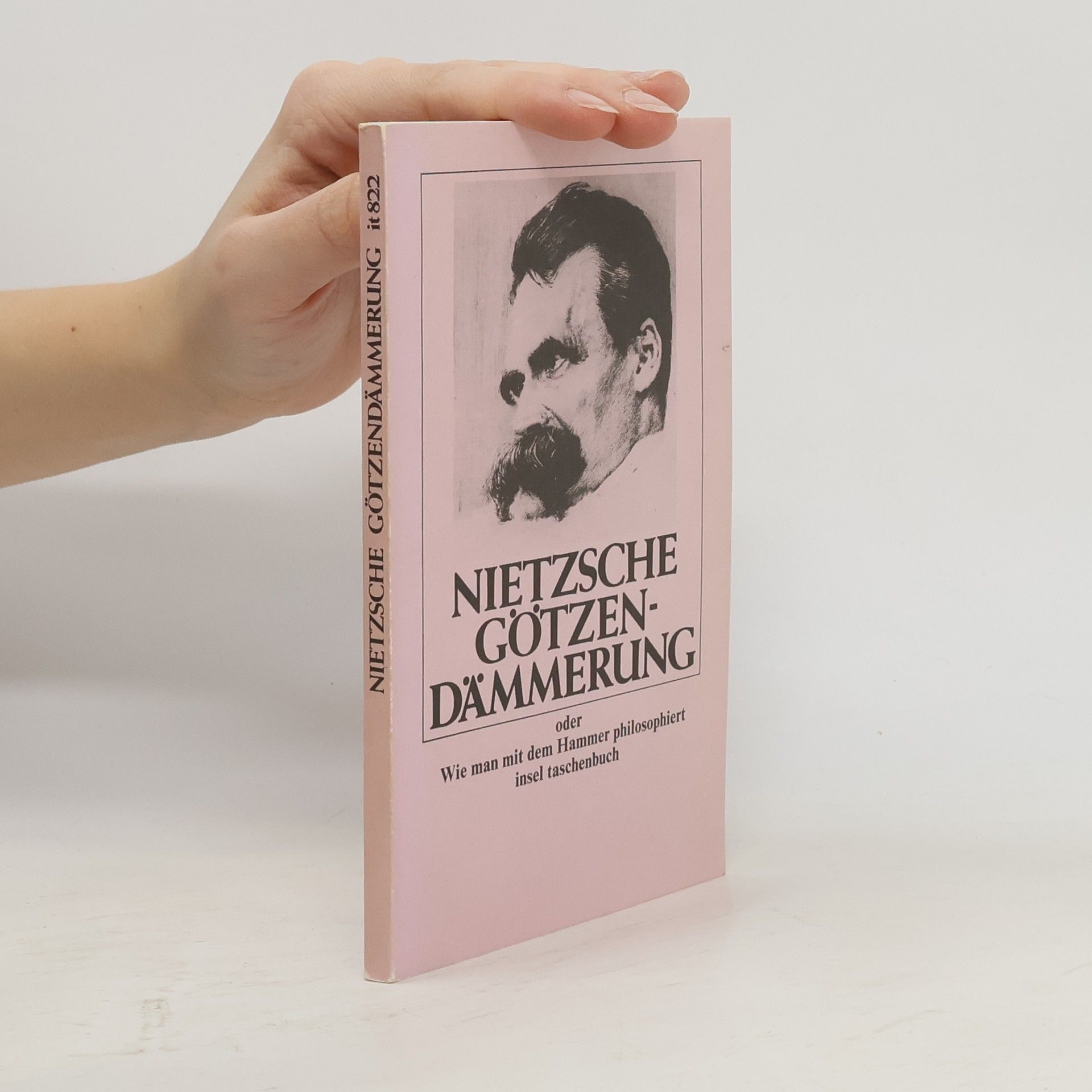 Götzendämmerung oder wie man mit dem Hammer philosophiert