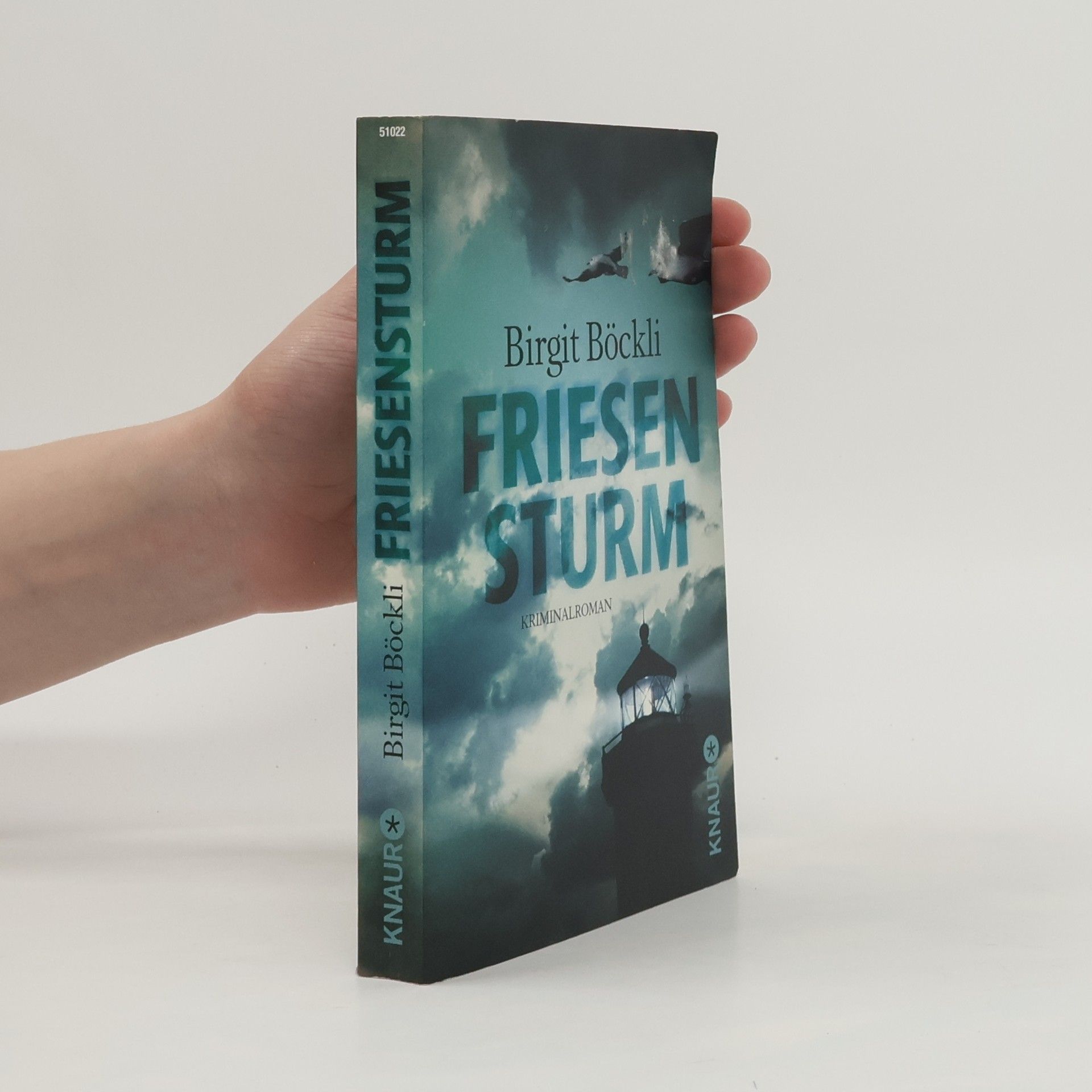 Birgit Böckli Friesensturm