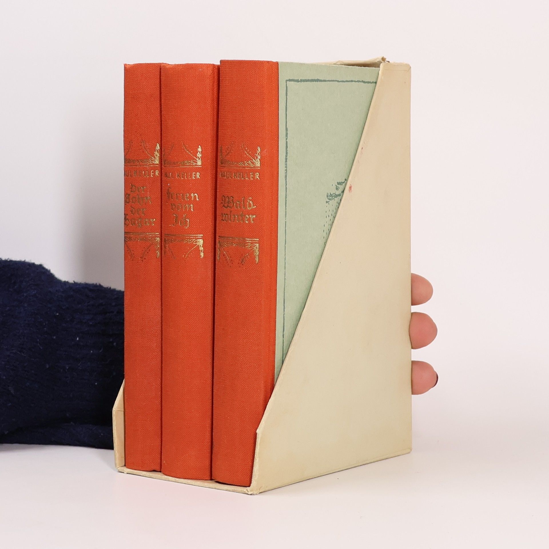 Paul Keller Wald winter. Ferien von Ich. Der Sohn der Bagar