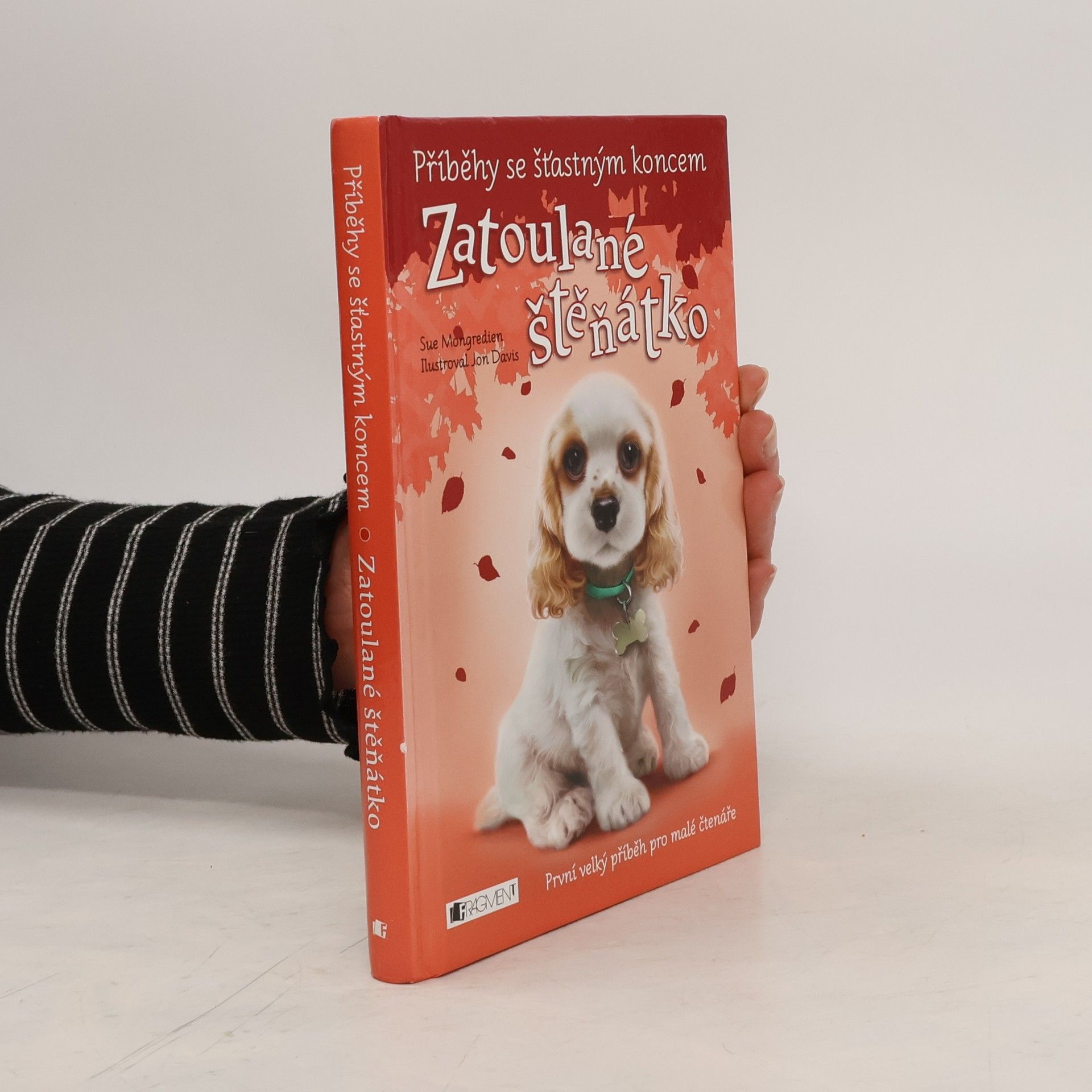 Jon Davis Zatoulané štěňátko