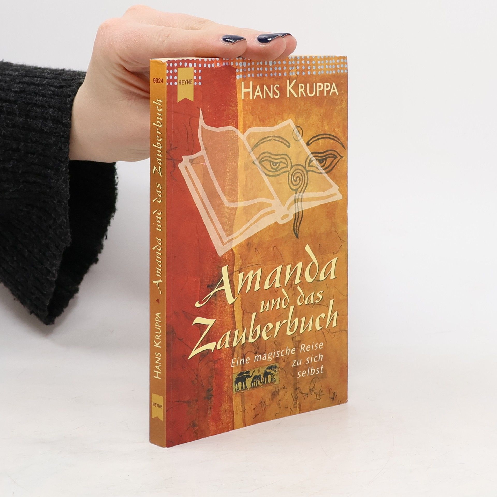 Hans Kruppa Amanda und das Zauberbuch