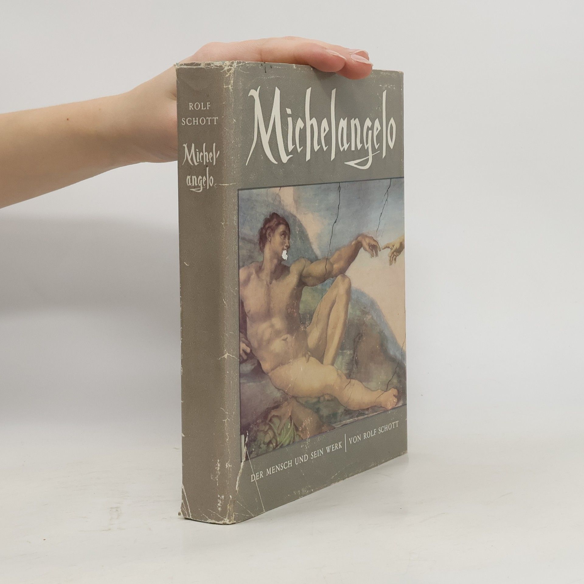 Michelangelo. Der Mensch und sein Werk