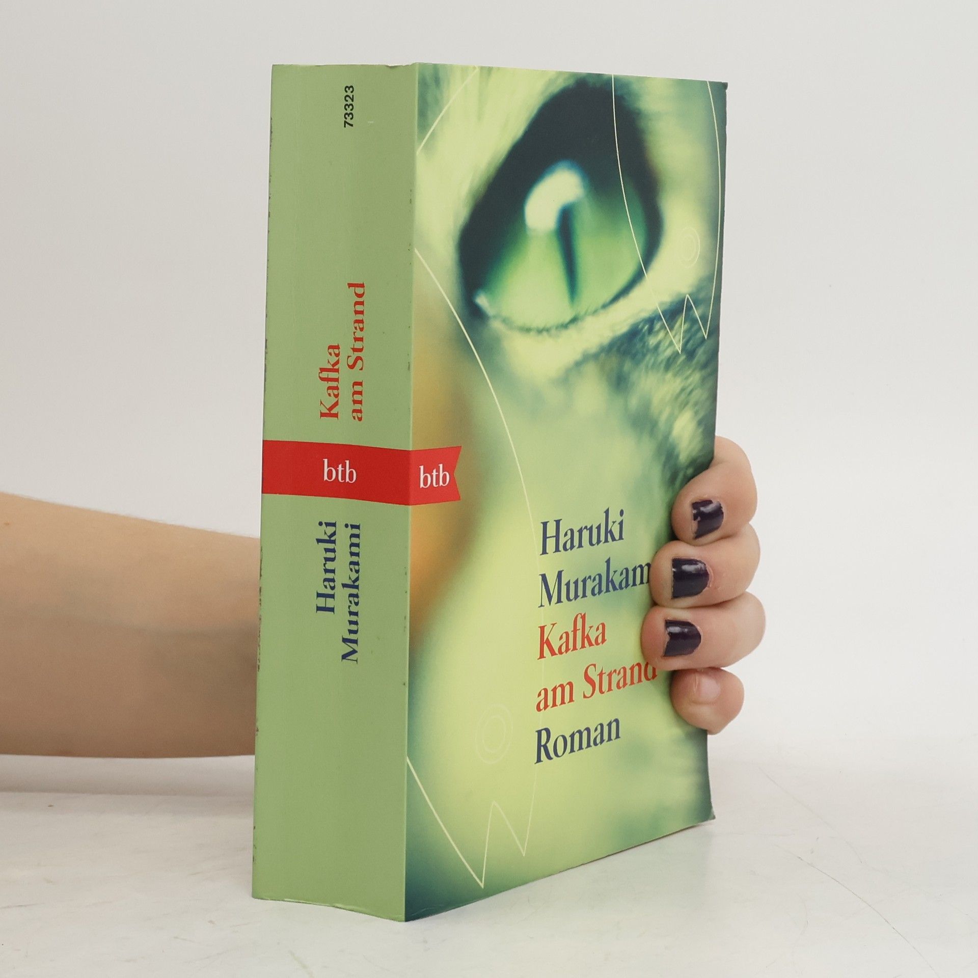 Haruki Murakami Kafka am Strand