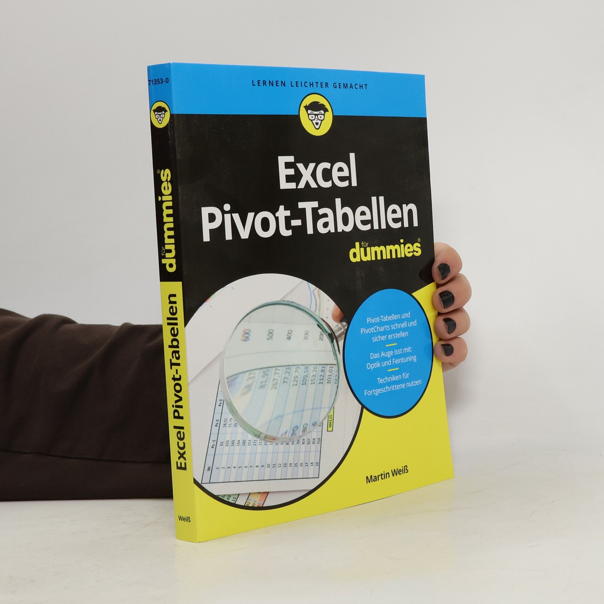 Martin Weis Excel Pivot-Tabellen für Dummies