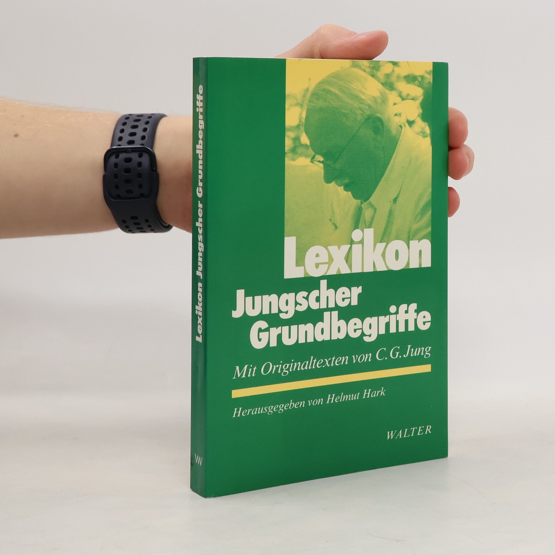 Carl Jung Lexikon Jungscher Grundbegriffe