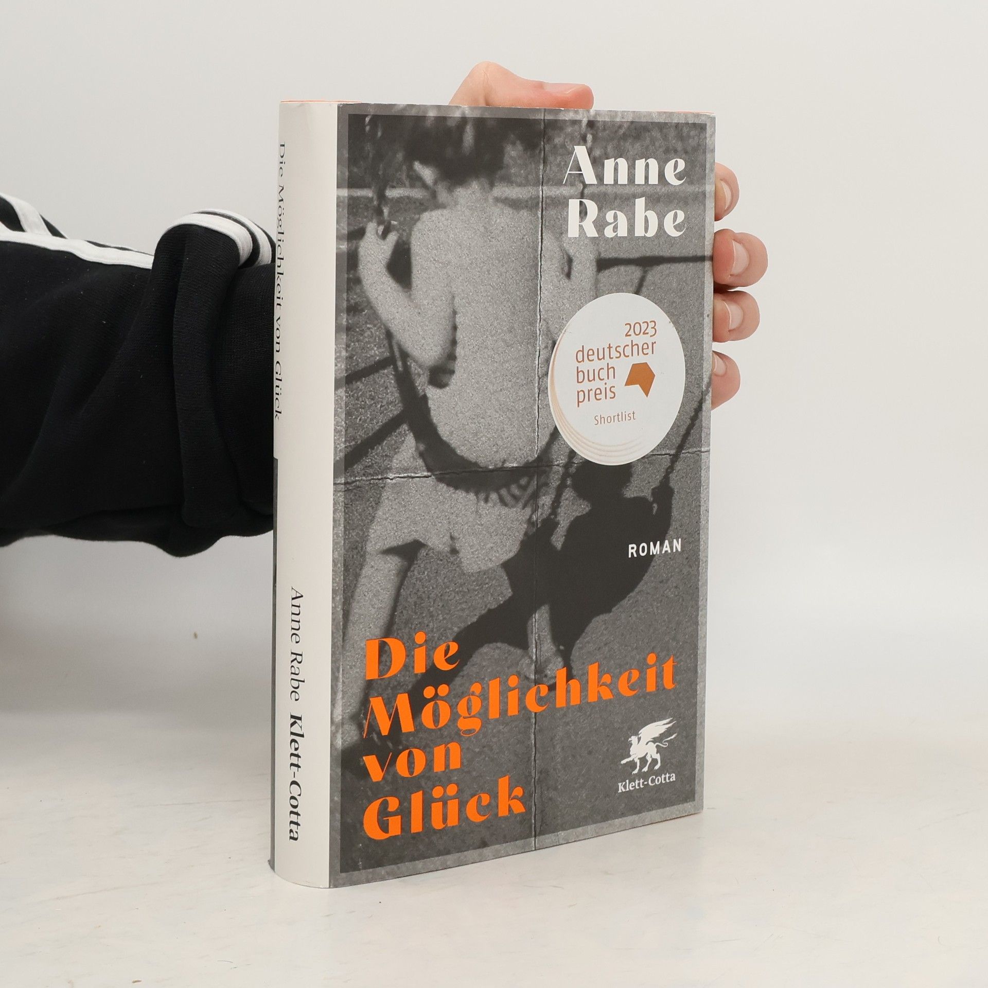 Anne Rabe Die Möglichkeit von Glück