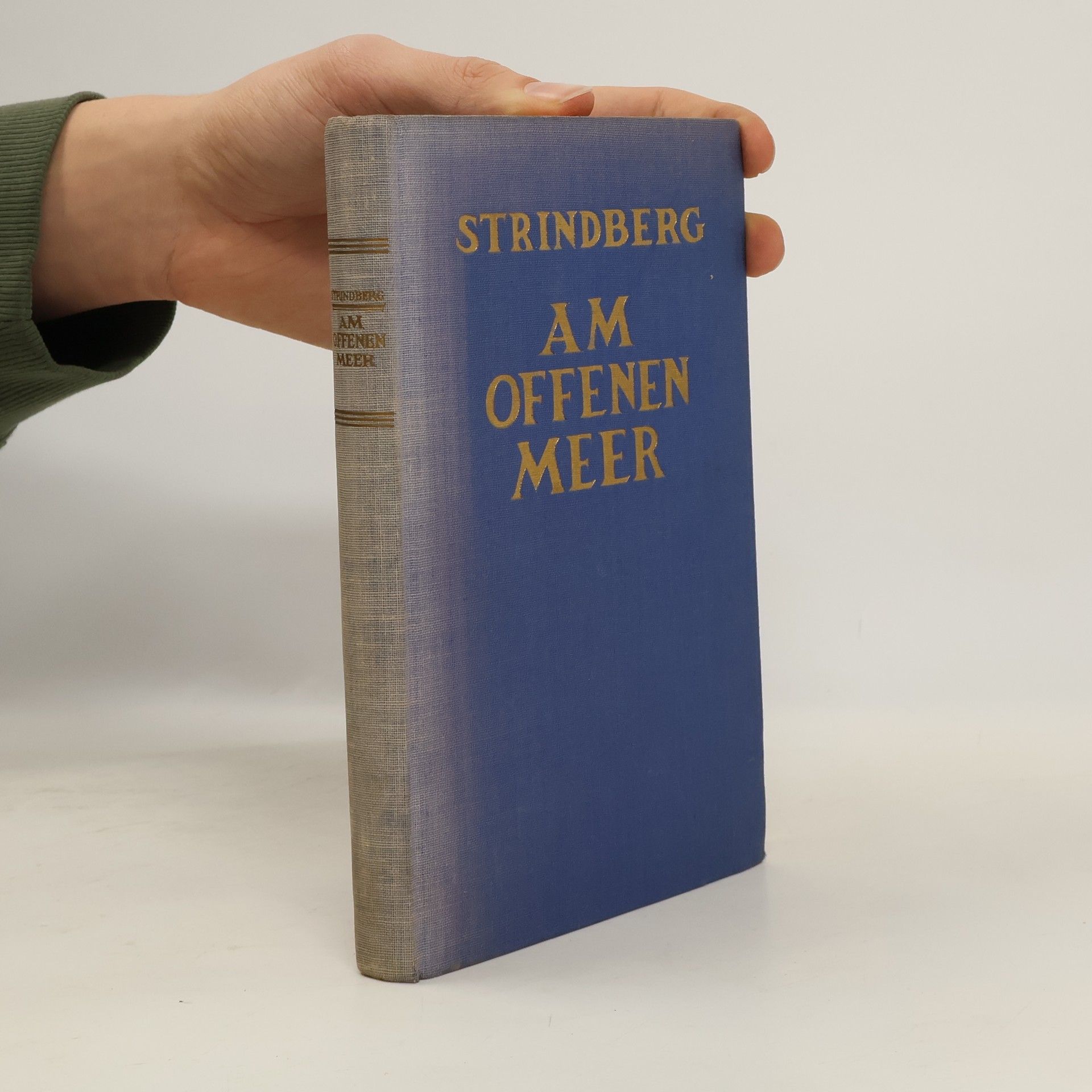 August Strindberg Am offenen Meer