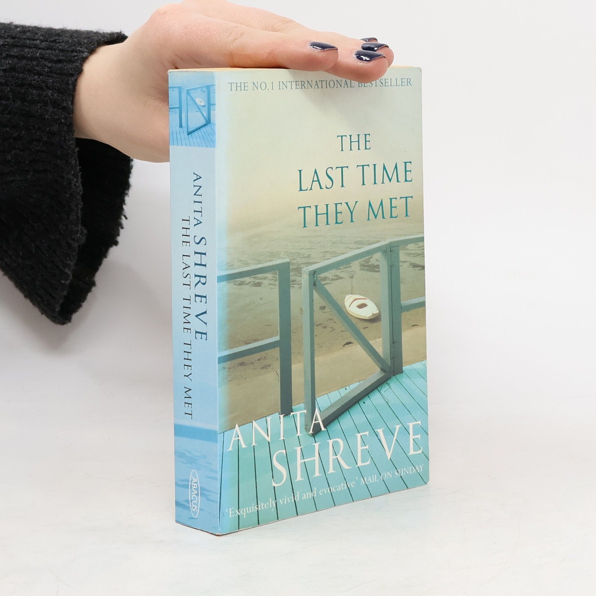 Anita Shreve The Last Time They Met