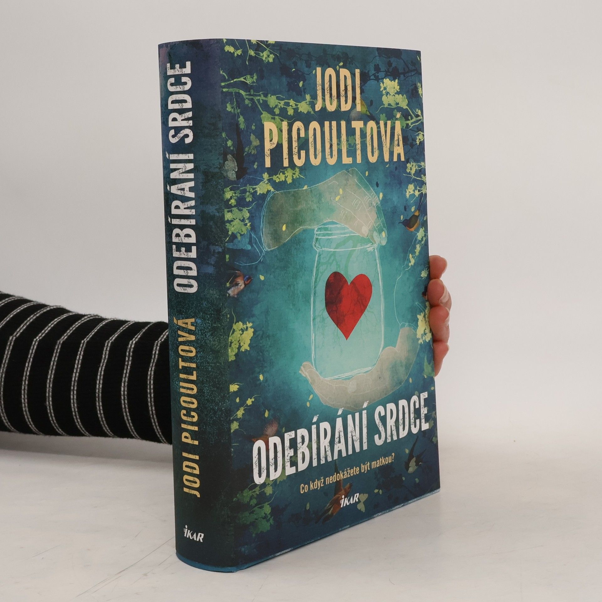 Jodi Picoult Odebírání srdce