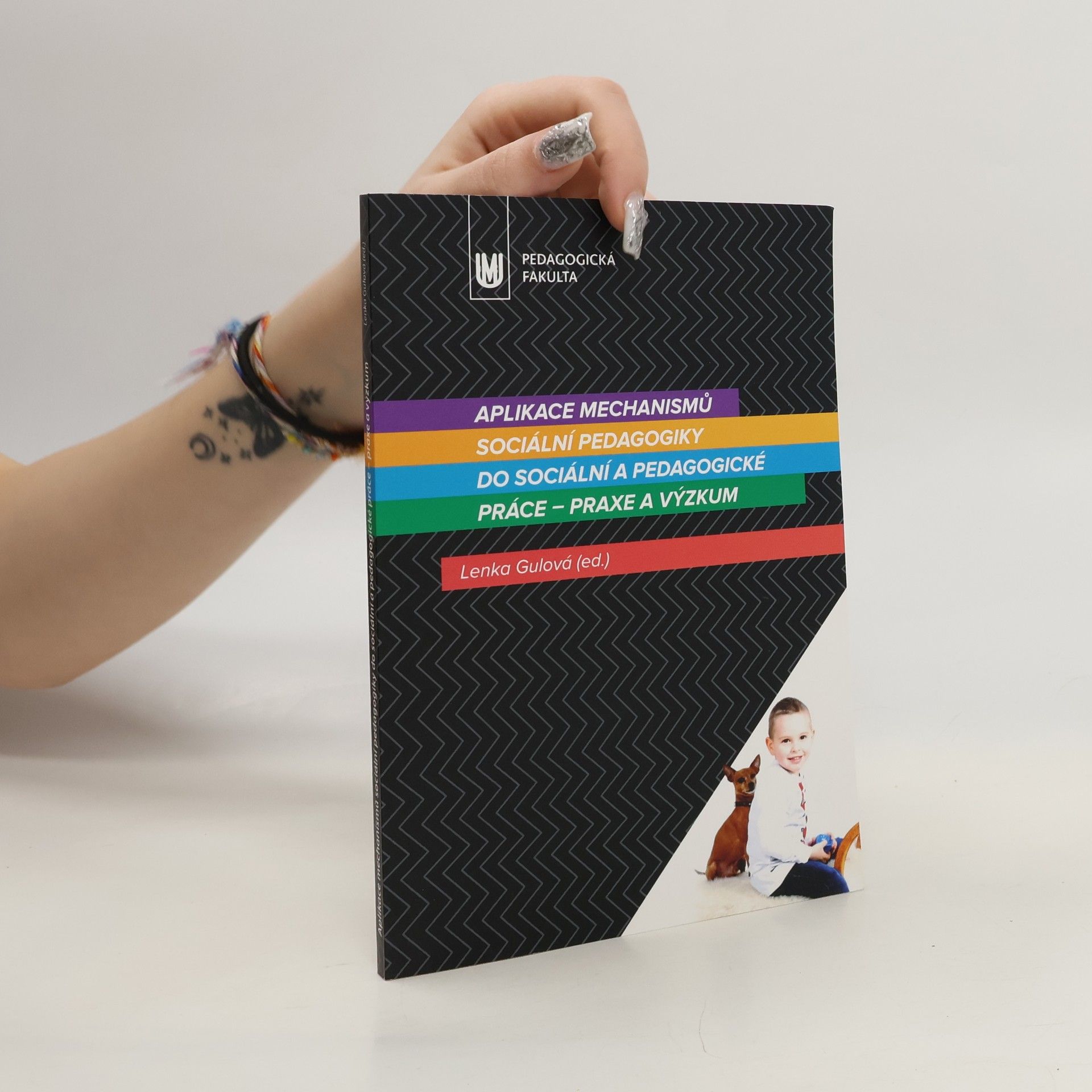 Lenka Gulová Aplikace mechanismů sociální pedagogiky do sociální a pedagogické práce; praxe a výzkum