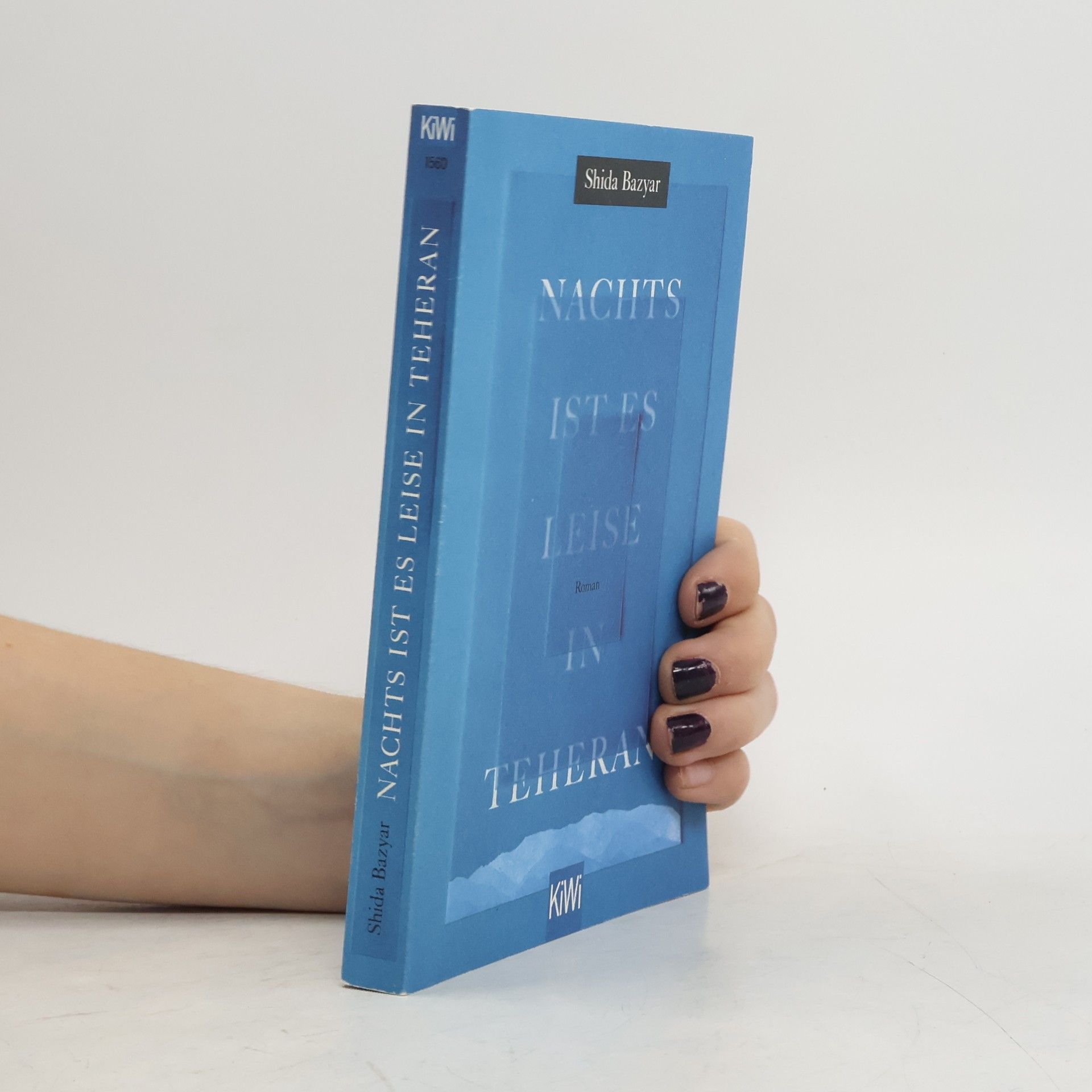 Shida Bazyar Nachts ist es leise in Teheran