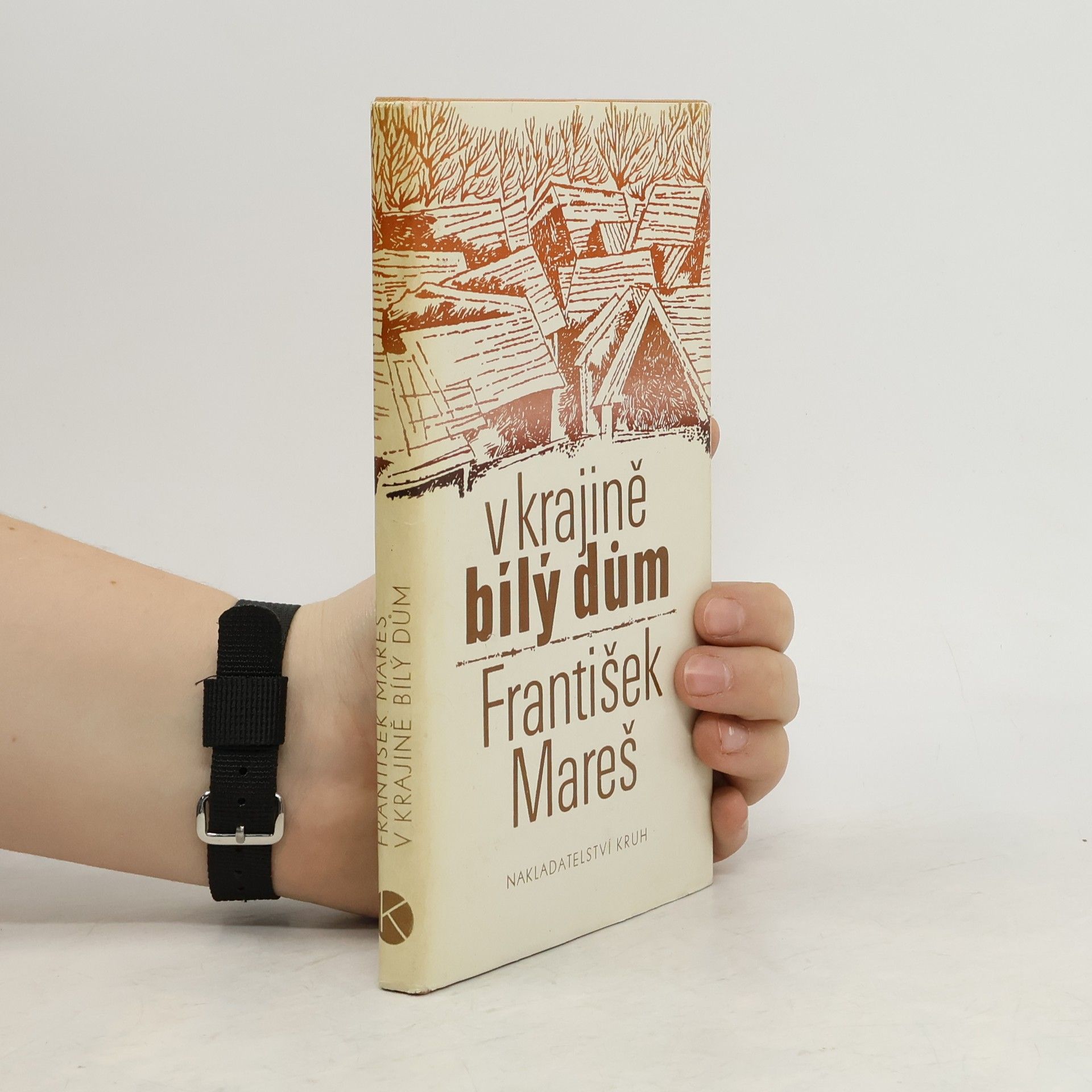 V krajině bílý dům