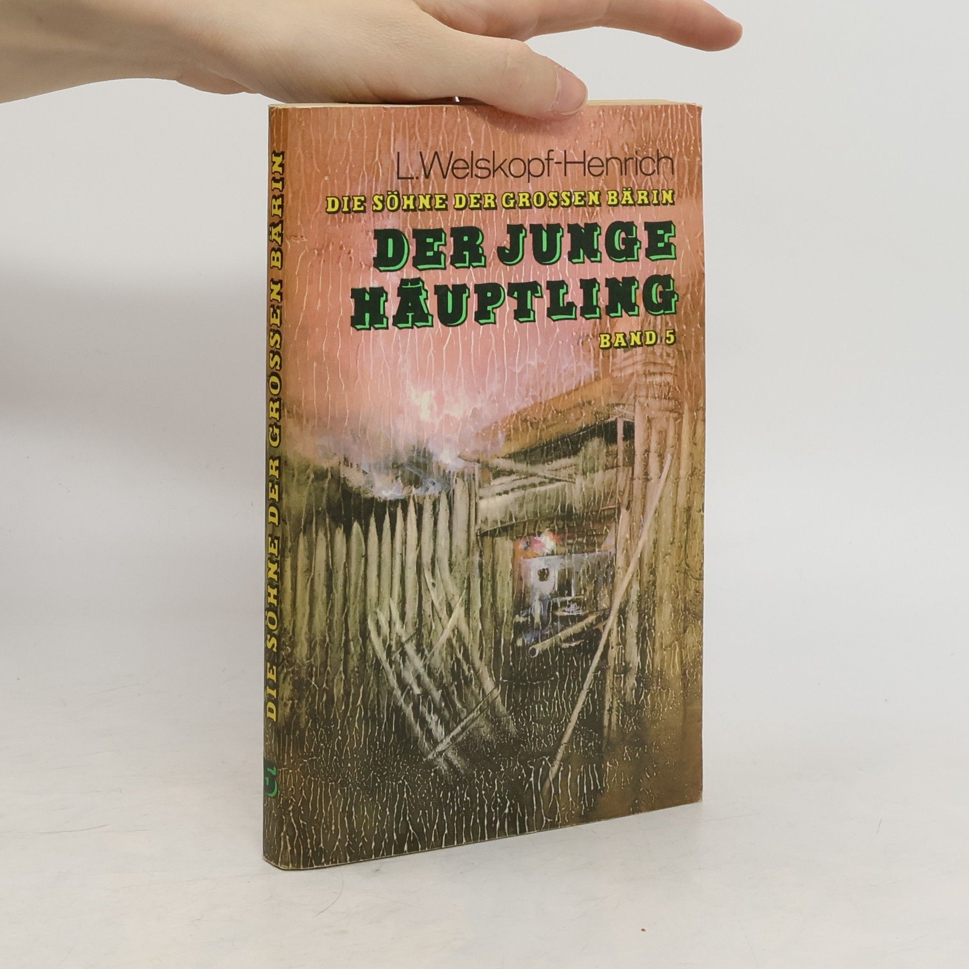 Liselotte Welskopf-Henrich Der Junge Häuptling 5