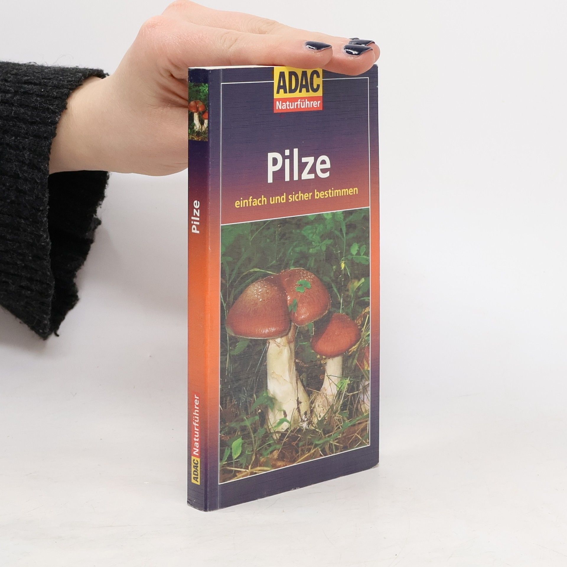 Michael Eppinger Pilze einfach und sicher bestimmen