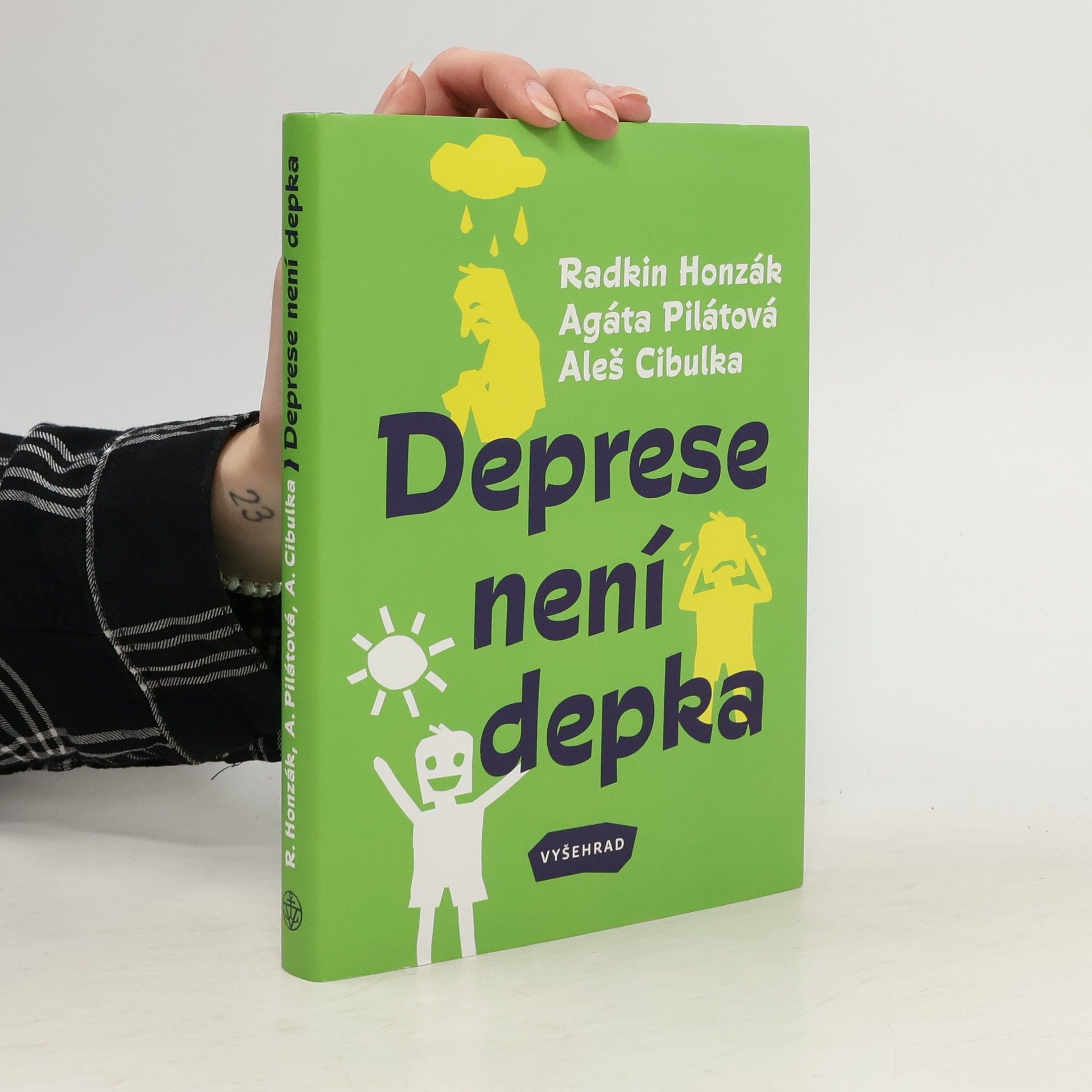 Kolektiv autorů Deprese není depka