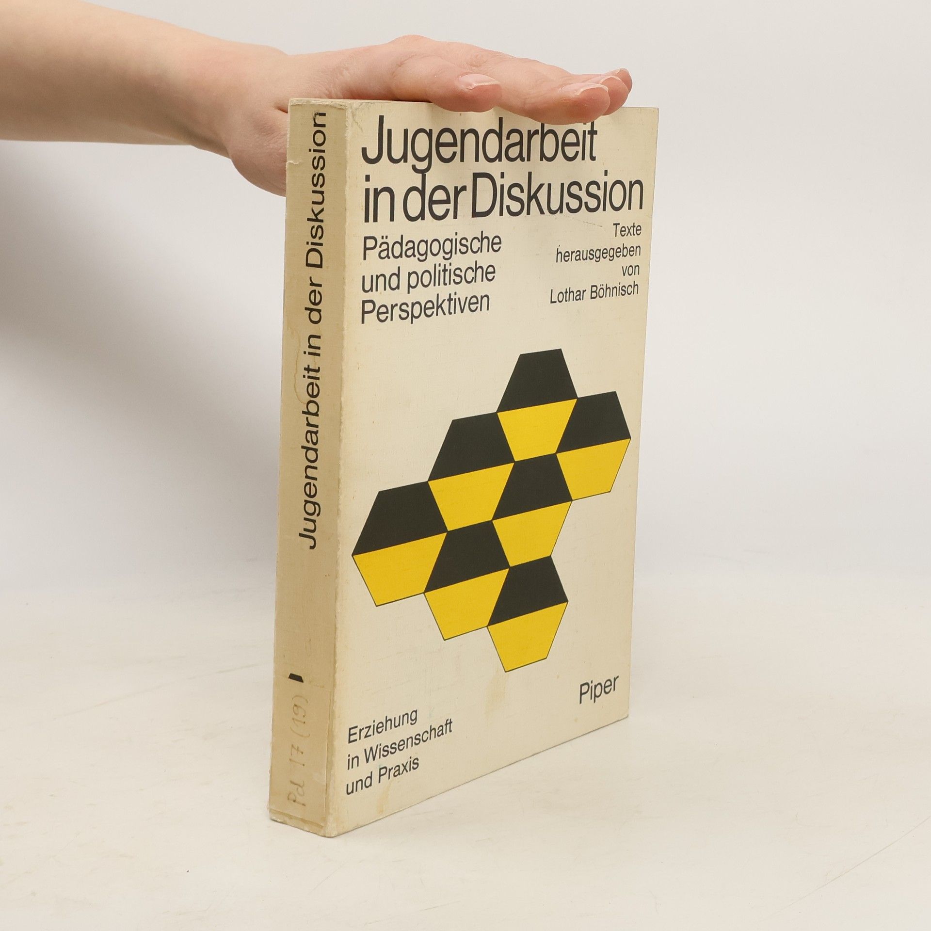 Lothar Böhnisch Jugendarbeit in der Diskussion