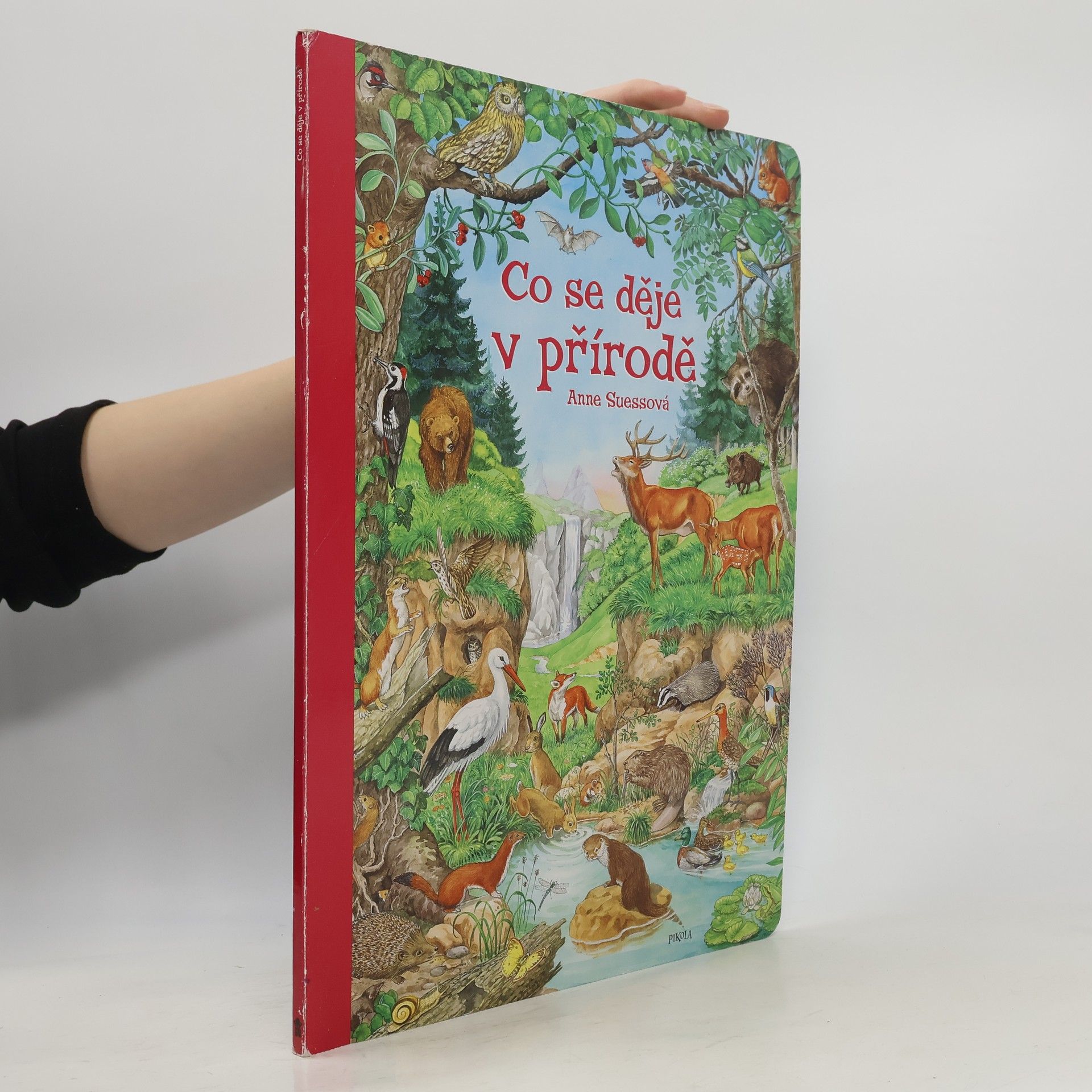 Co se děje v přírodě