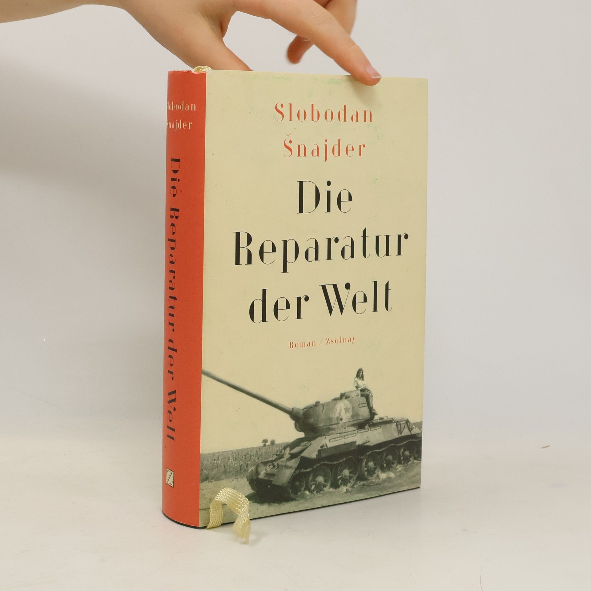 Slobodan Šnajder Die Reparatur der Welt