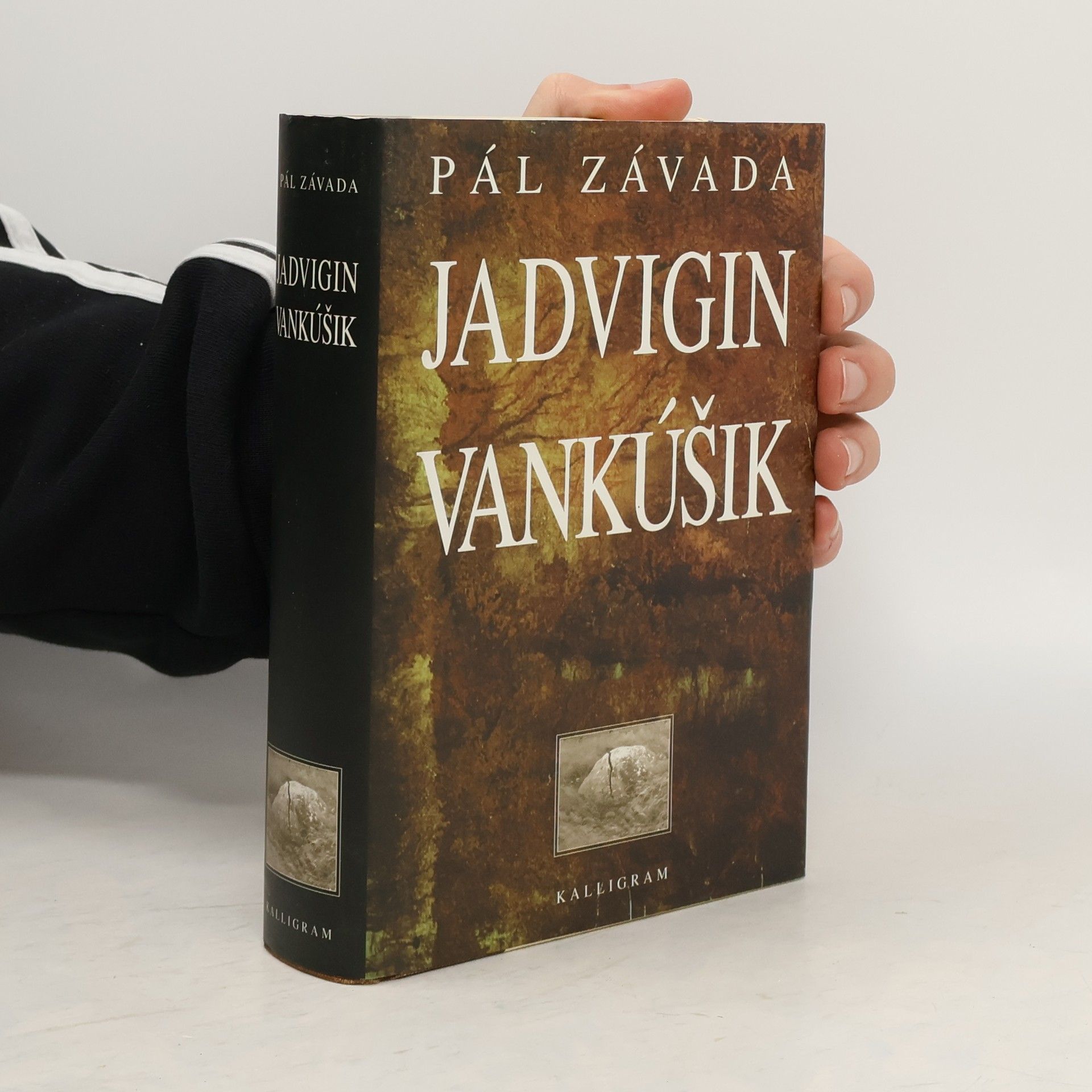 Pál Závada Jadvigin vankúšik