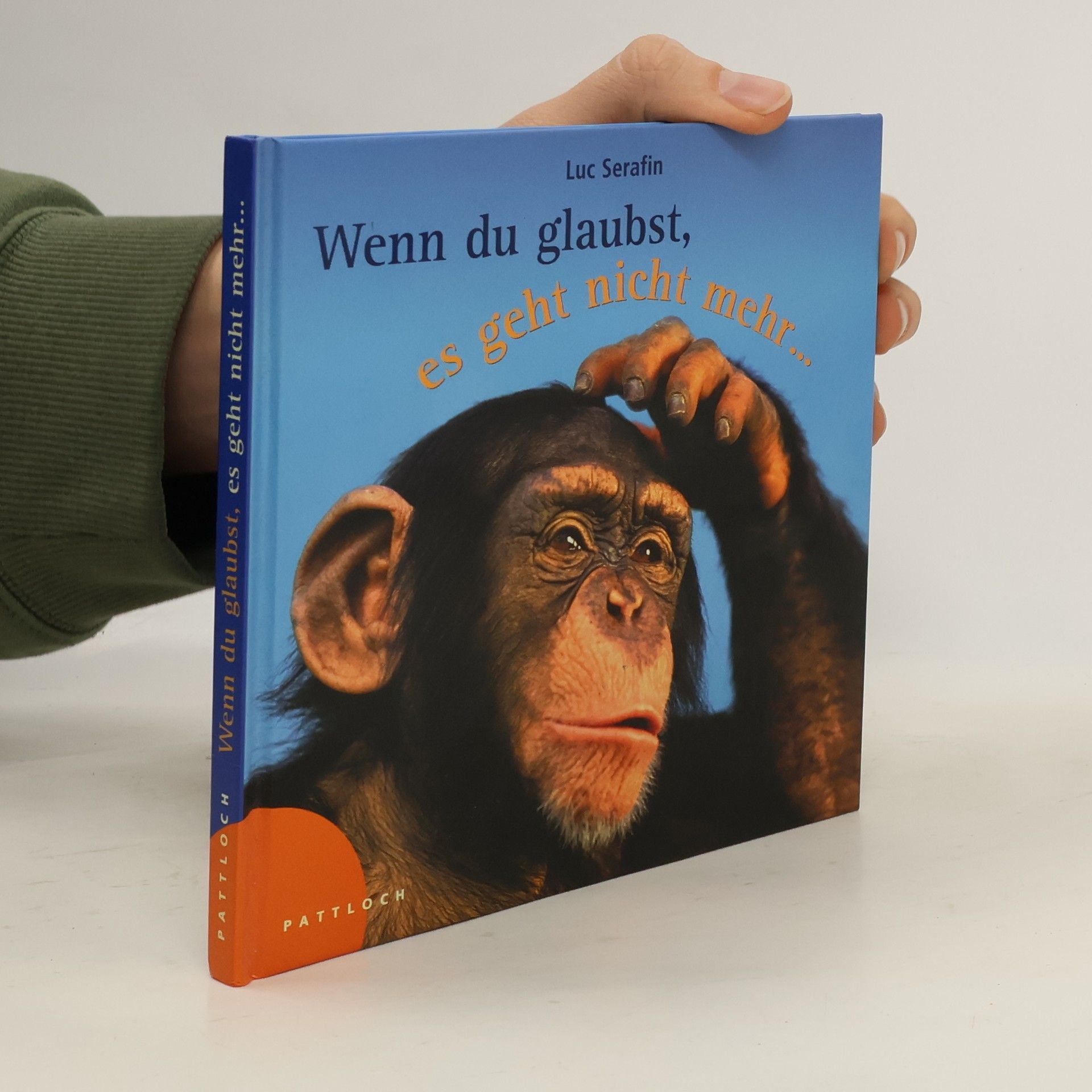 Luc Serafin Wenn du glaubst, es geht nicht mehr ...