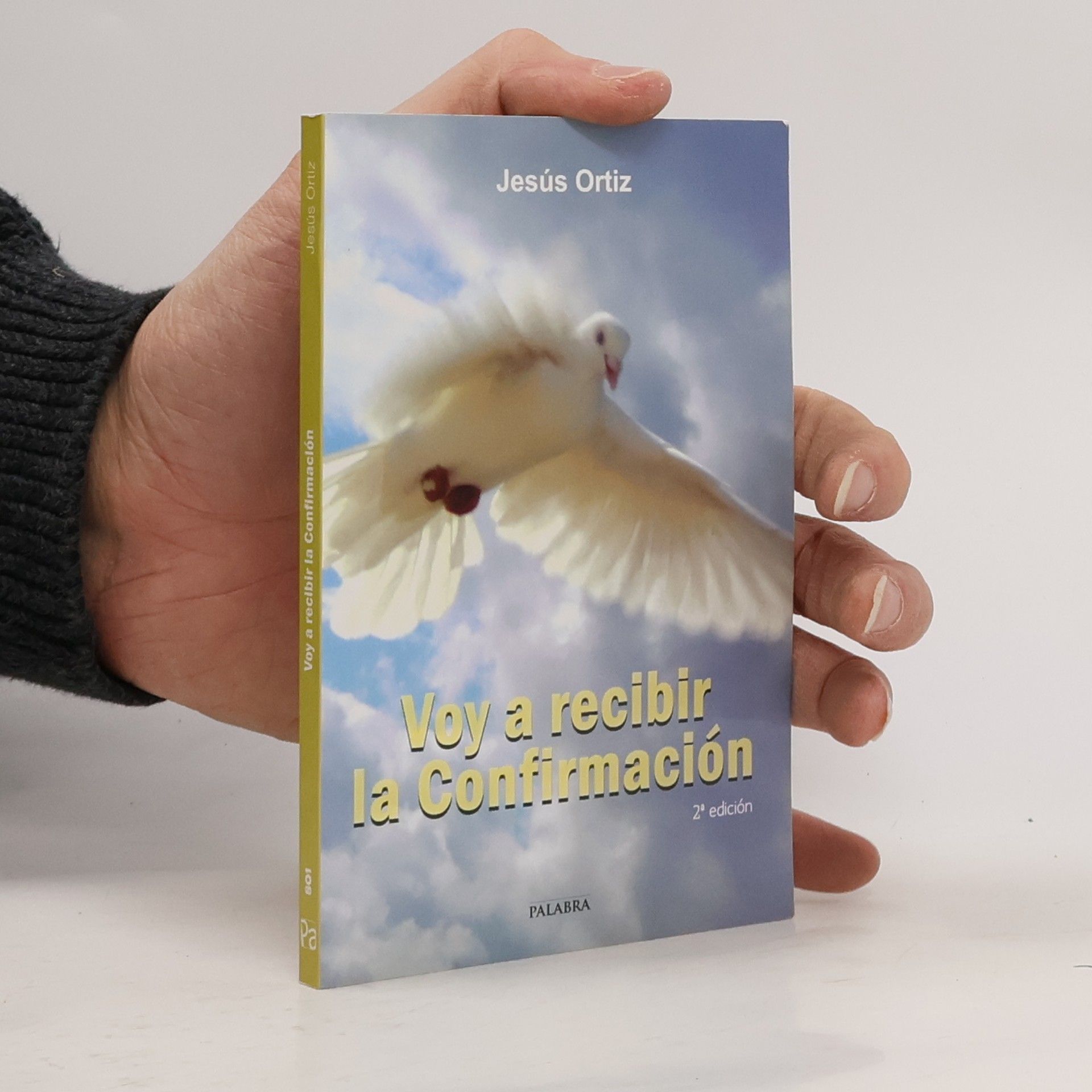 Jesús Ortiz López dBolsillo - 801: Voy a recibir la Confirmación