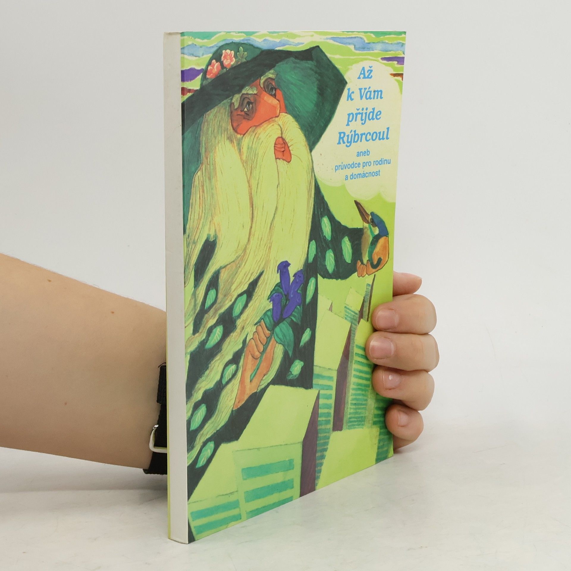 Kolektiv autorů Až k Vám přijde Rýbrcoul aneb průvodce pro rodinu a domácnost