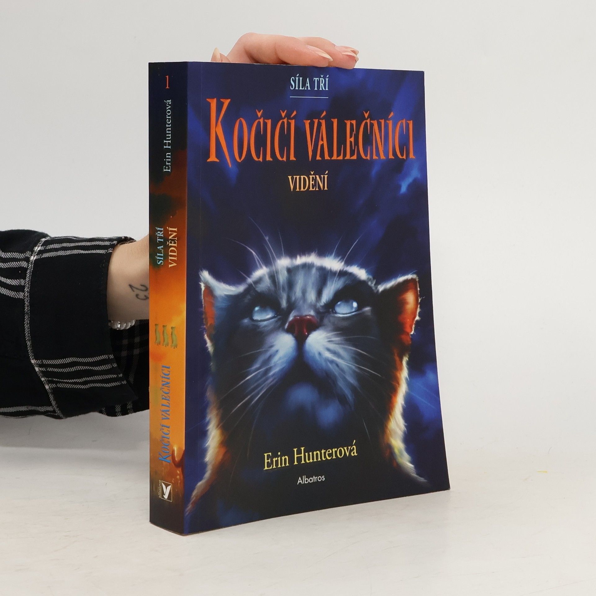 Kočičí válečníci : síla tří. Vidění