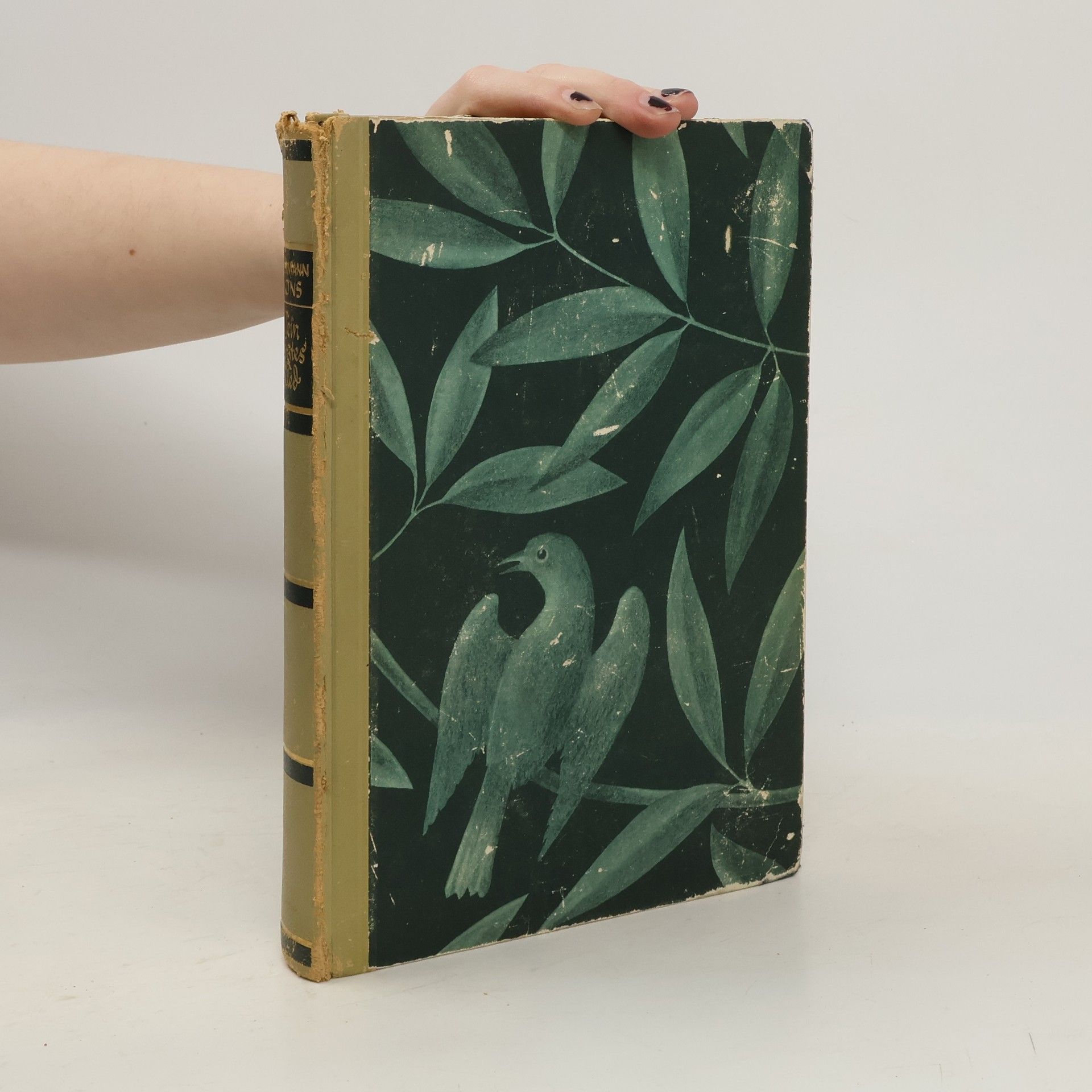 Hermann Löns Sein letztes Lied