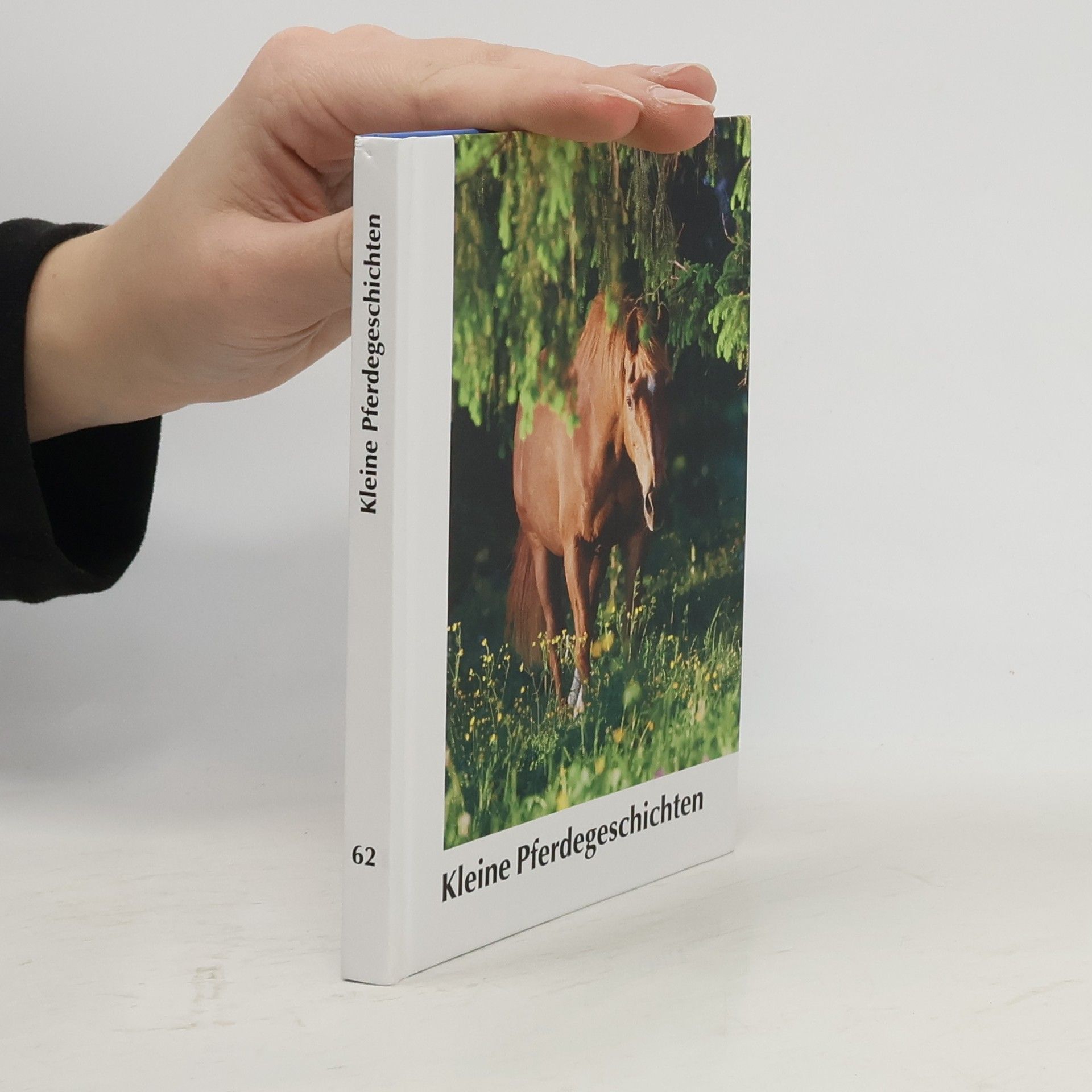 AA.VV. Kleine Pferdegeschichten 62