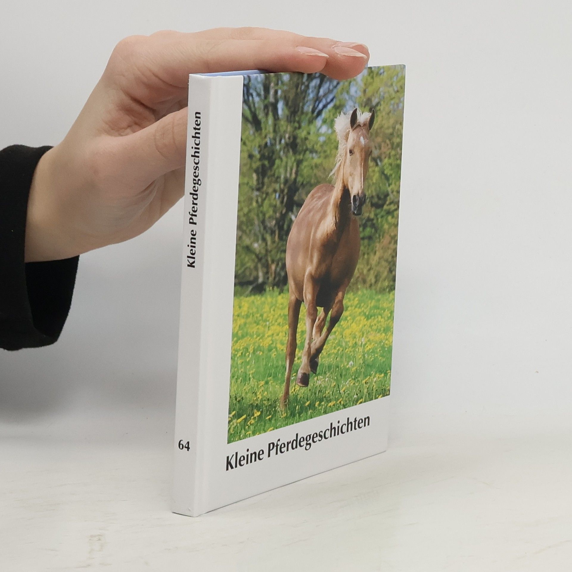 AA.VV. Kleine Pferdegeschichten 64