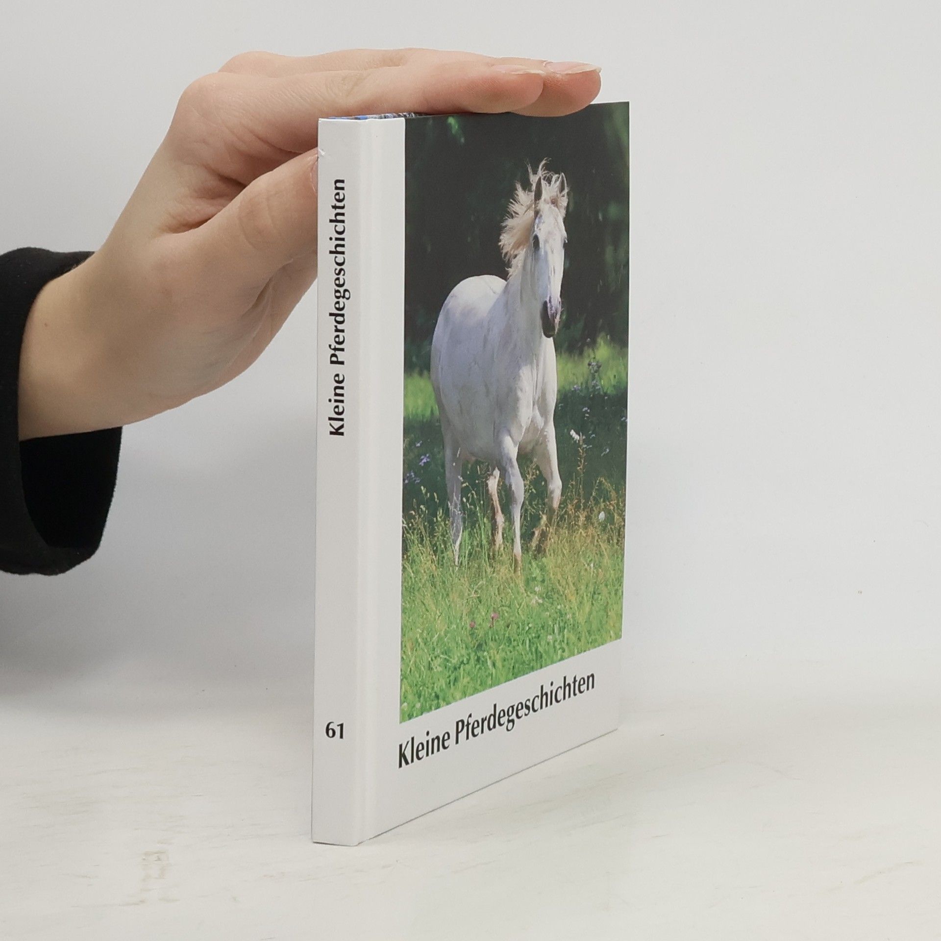 AA.VV. Kleine Pferdegeschichten 61